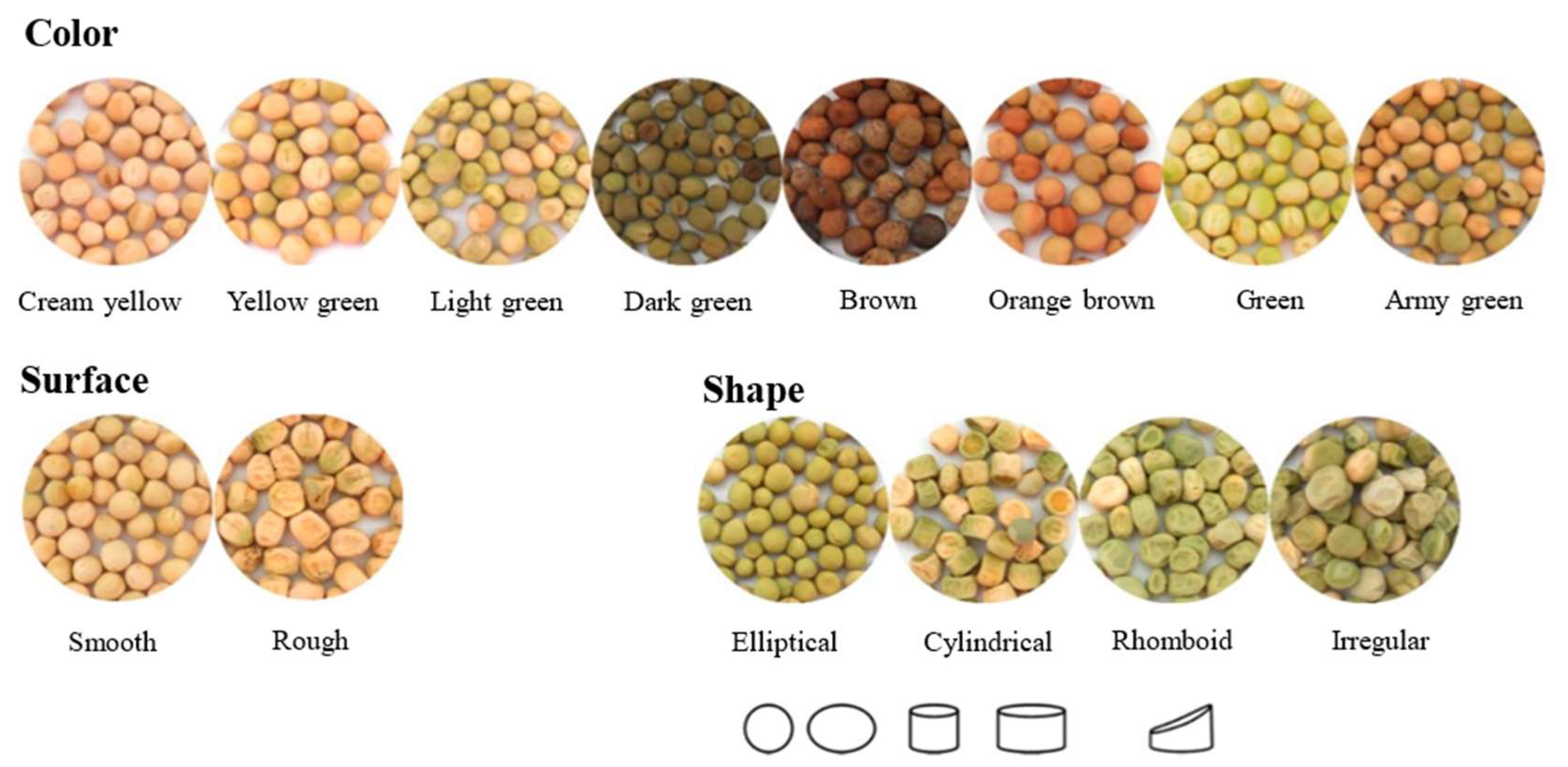 Applicability of pea ingredients in baked products: Links between