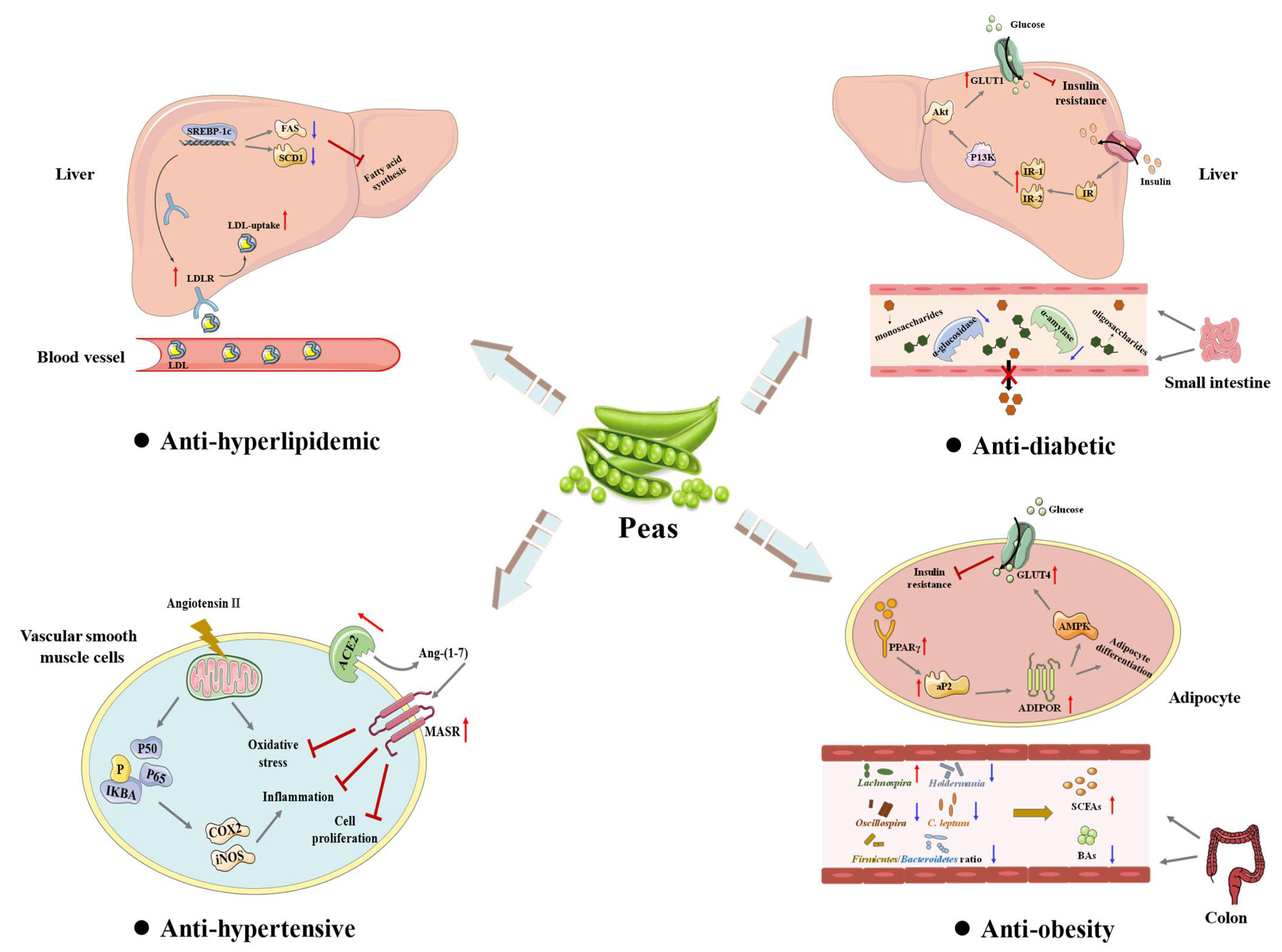 Foods 12 02527 g003 Foods 12 02527 g003