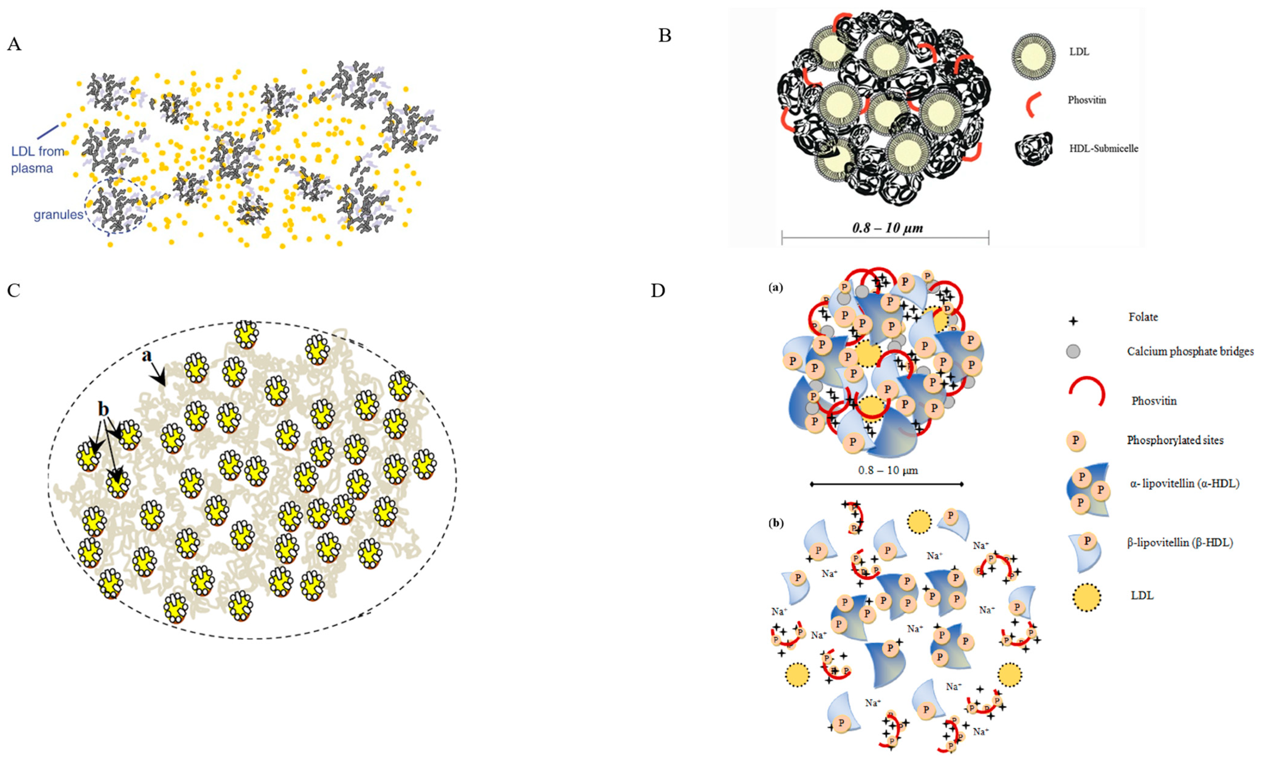 Foods 12 02531 g001 Foods 12 02531 g001