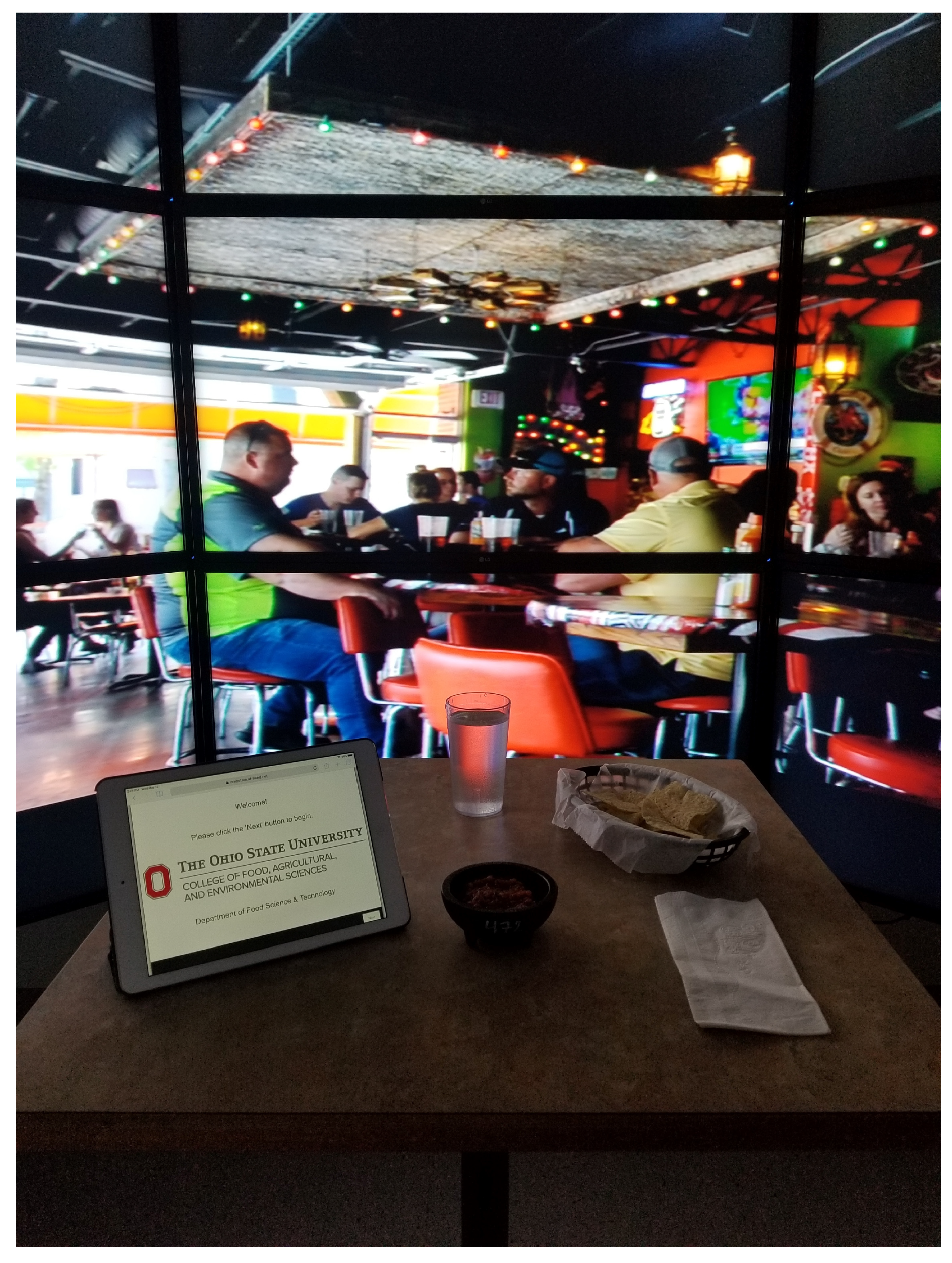 Foods 12 02537 g001 Foods 12 02537 g001