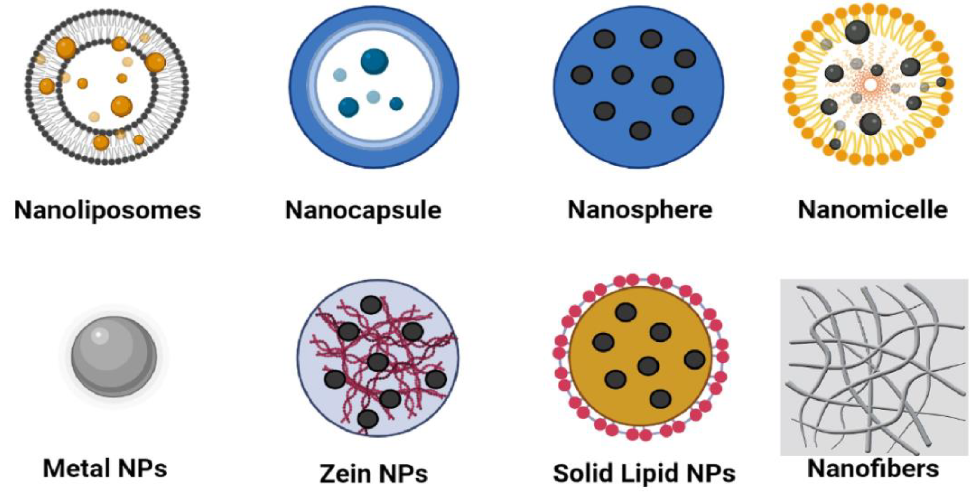 Foods 12 02549 g001 Foods 12 02549 g001