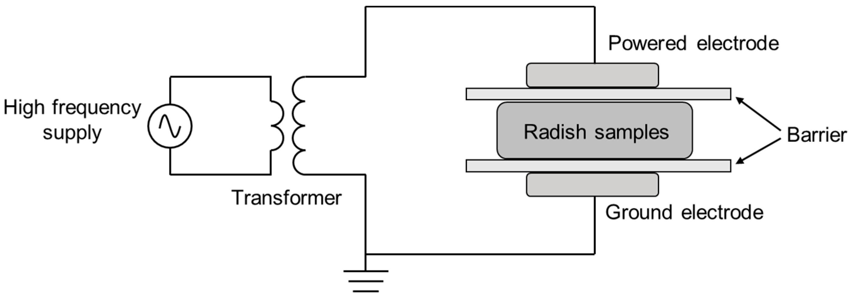 Foods 12 02550 g001 Foods 12 02550 g001