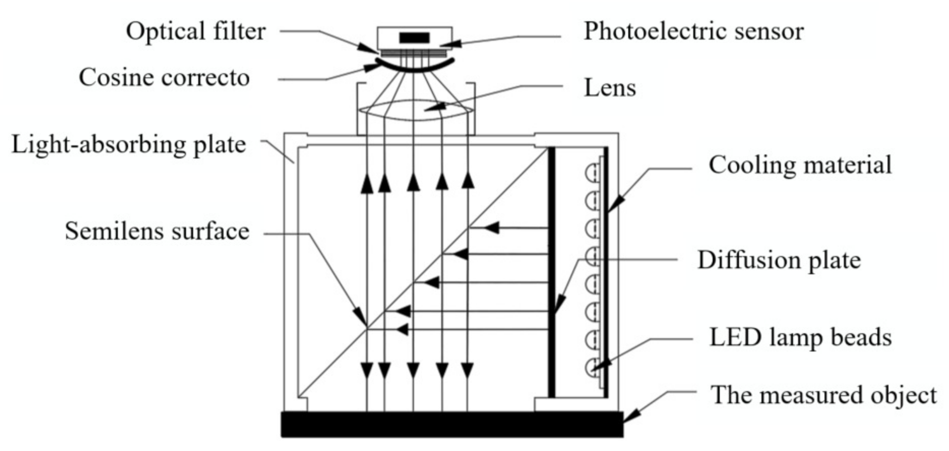 Foods 12 02562 g005 Foods 12 02562 g005