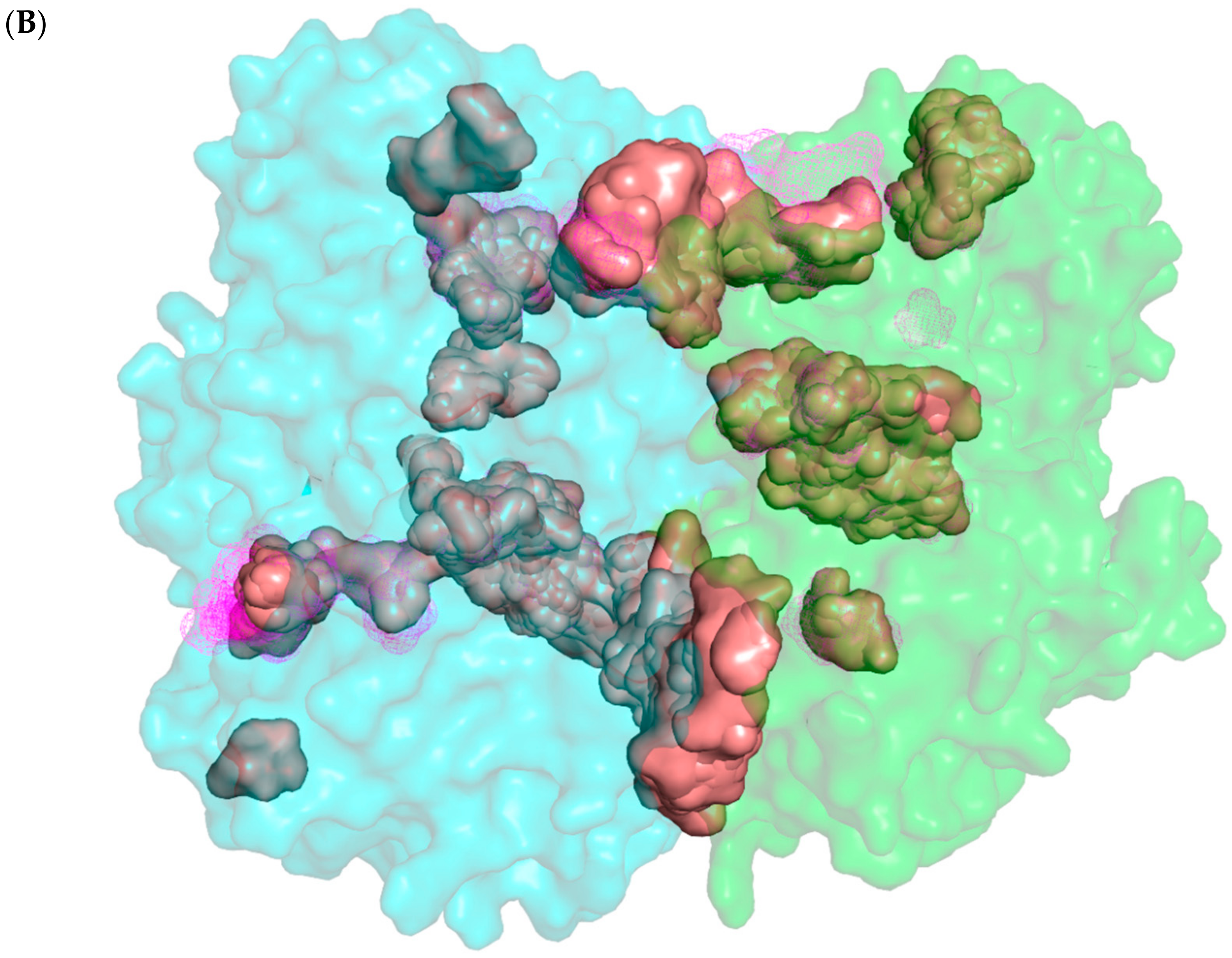 Foods 12 02563 g004b Foods 12 02563 g004b