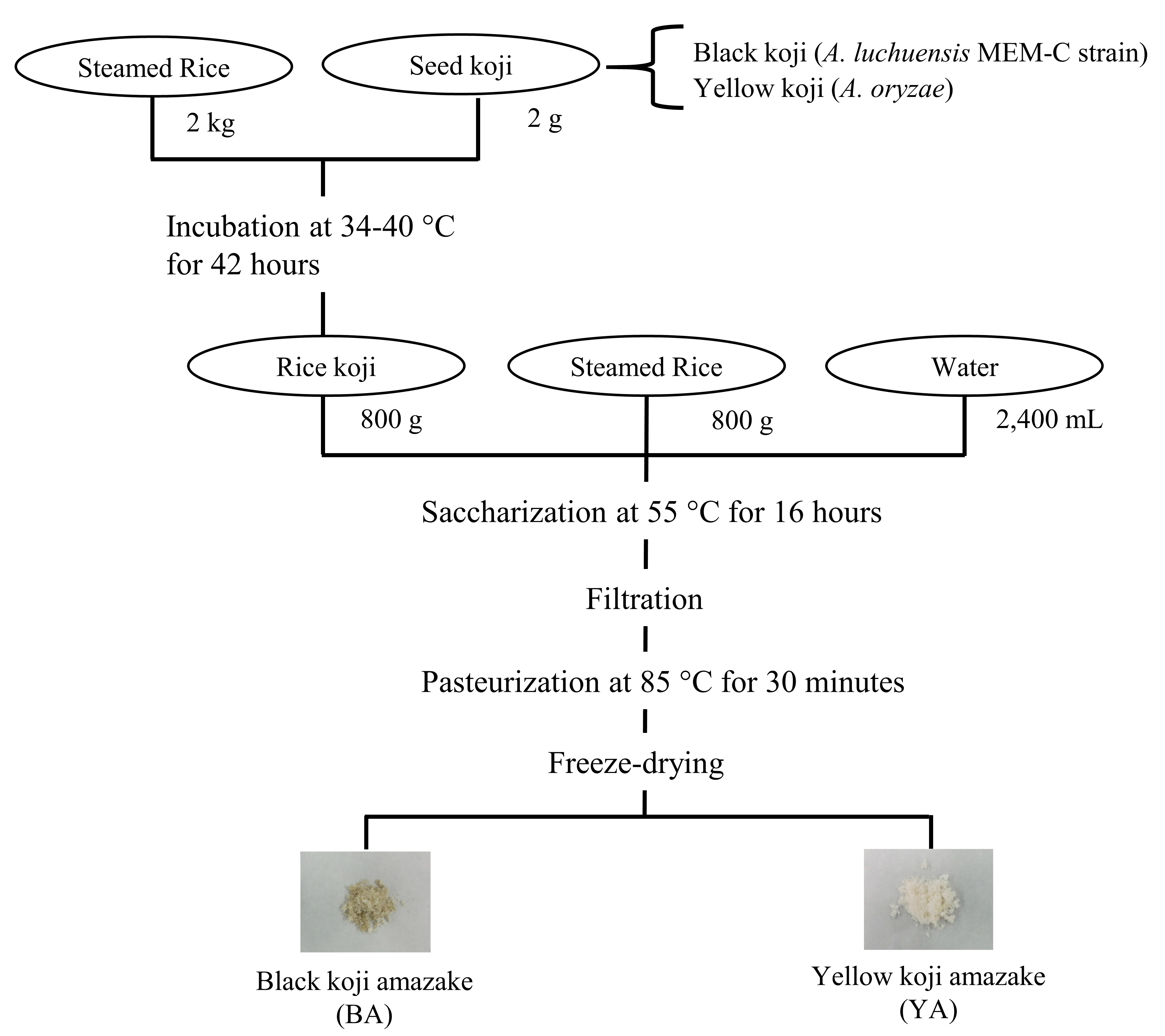 Foods 12 02568 g001 Foods 12 02568 g001