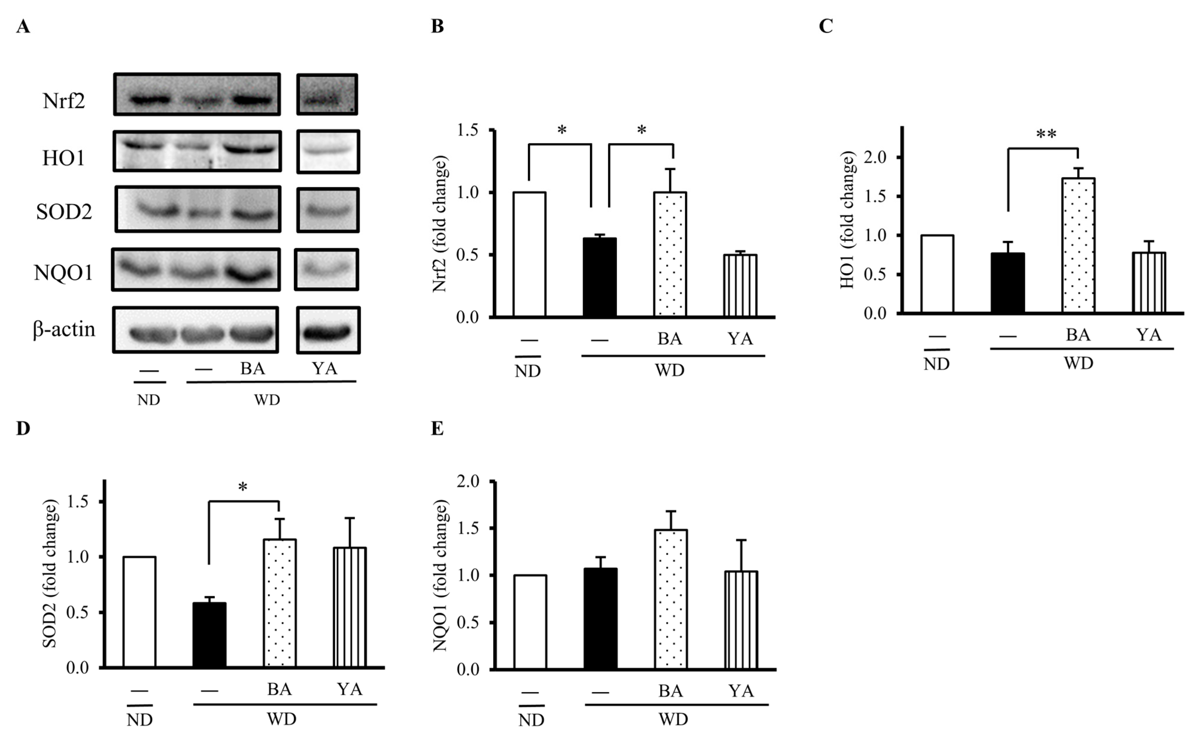Foods 12 02568 g002 Foods 12 02568 g002
