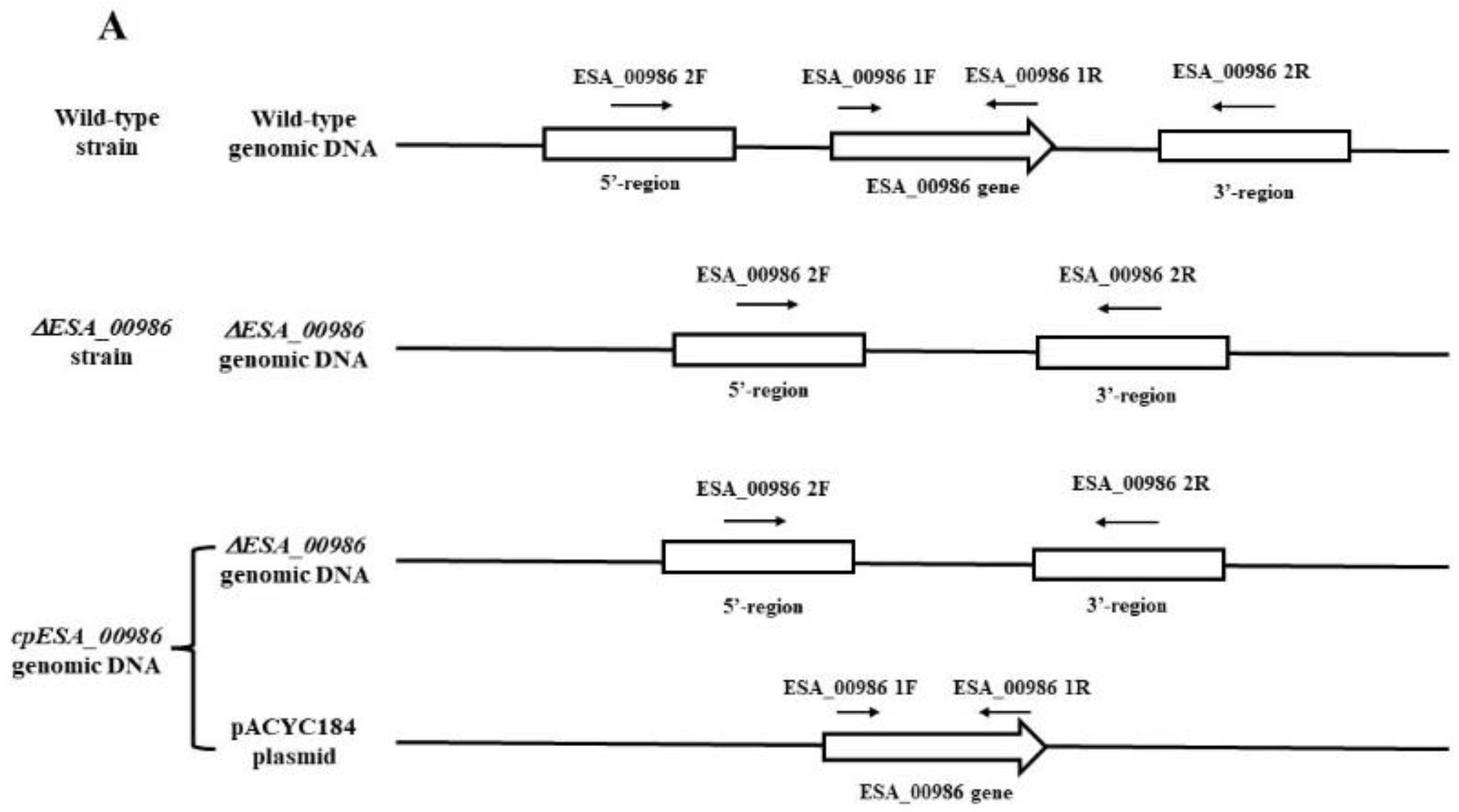 Foods 12 02572 g001a