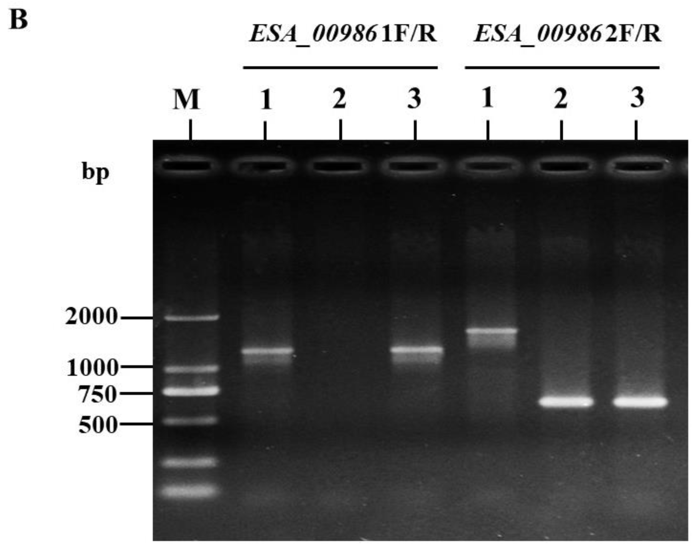 Foods 12 02572 g001b