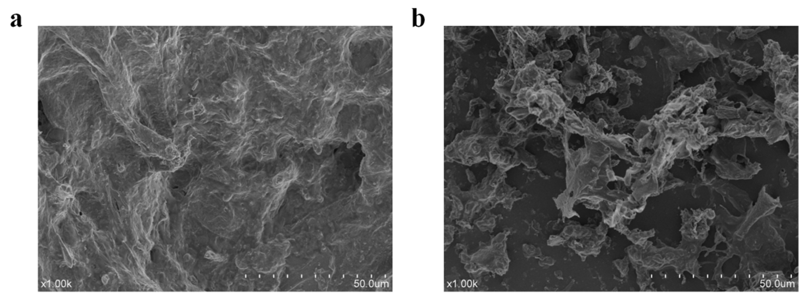 Foods 12 02574 g004 Foods 12 02574 g004