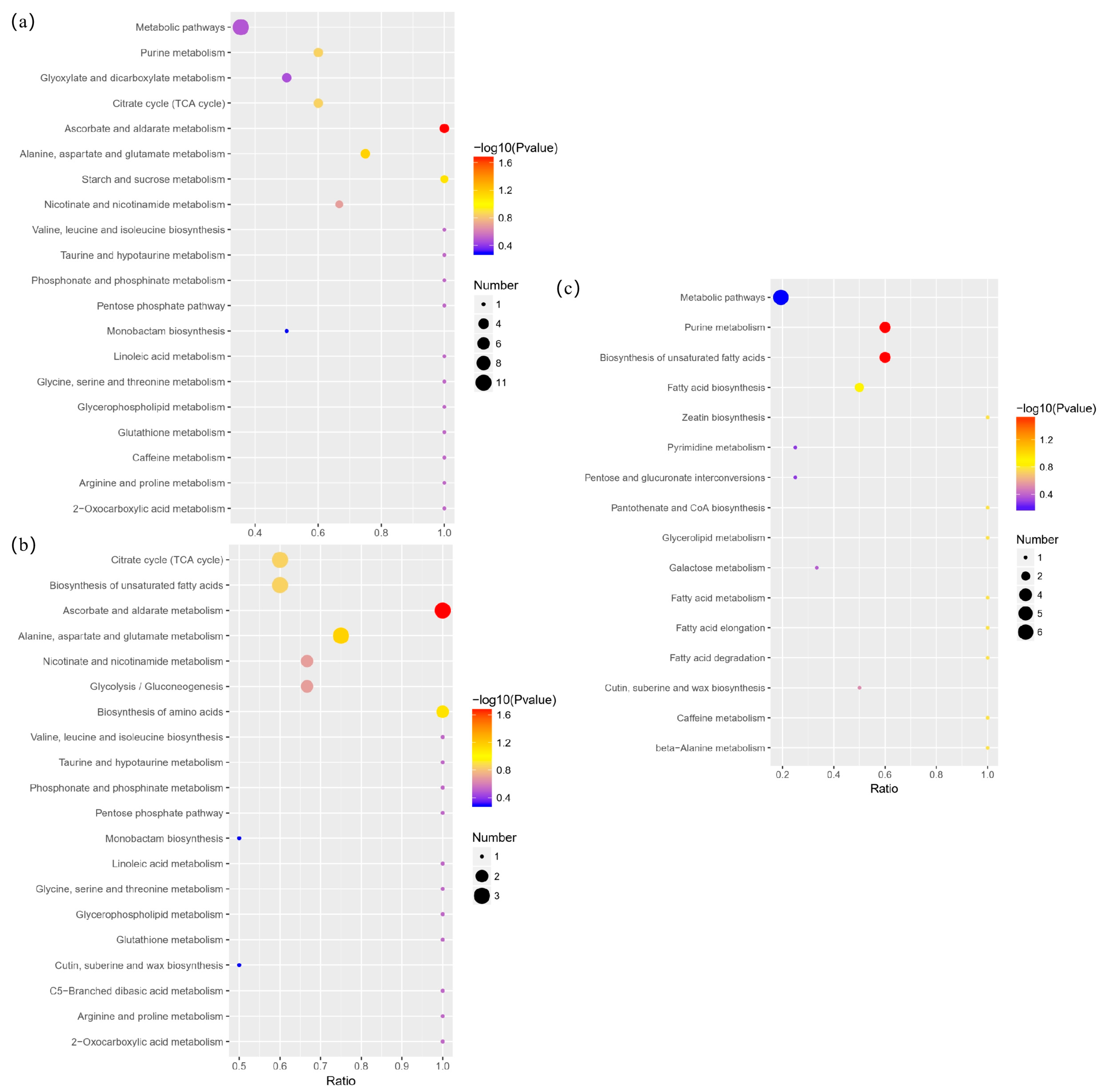Identification of Tartary Buckwheat (Fagopyrum tataricum (L.) Gaertn