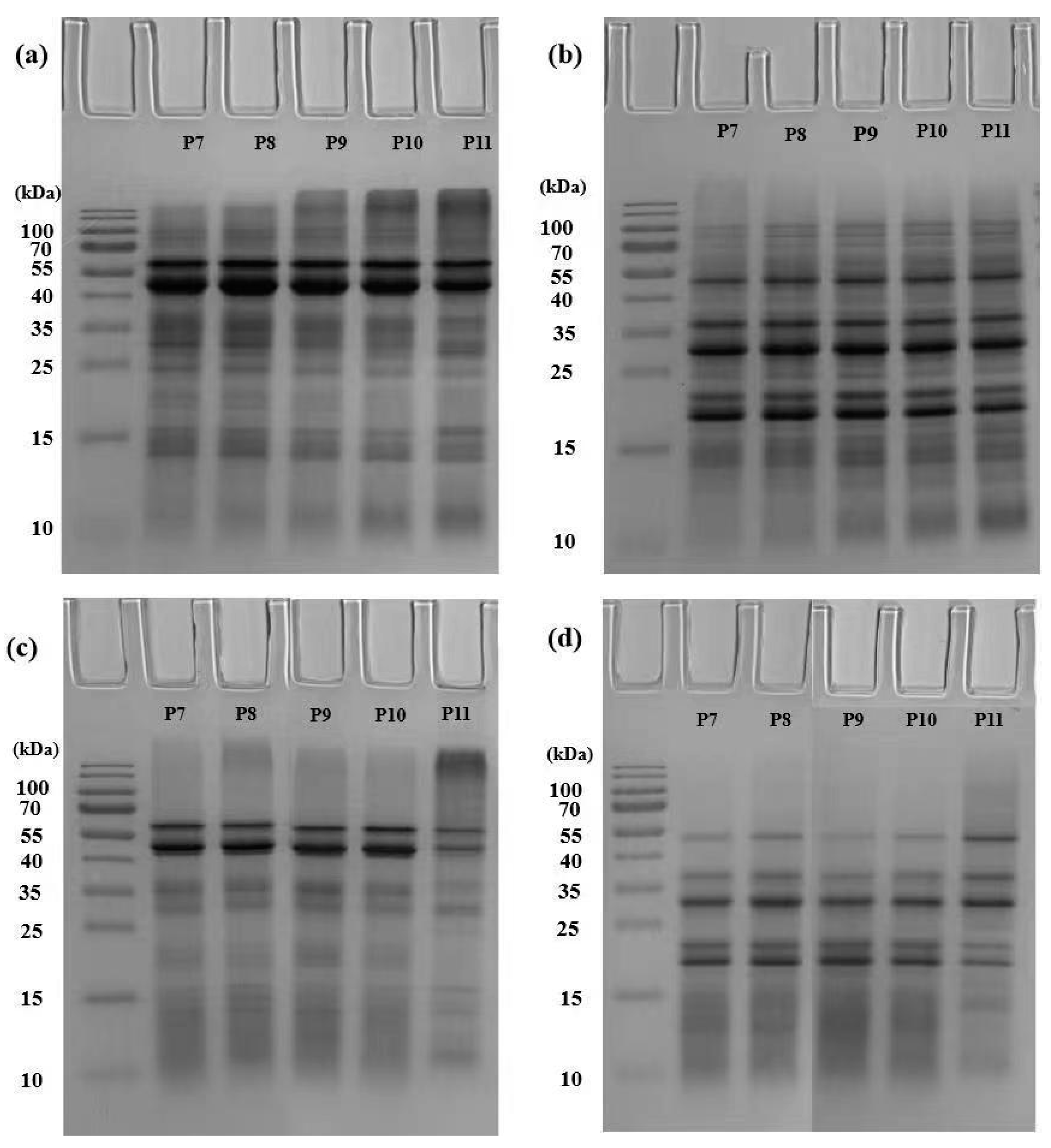 Foods 12 02589 g002 Foods 12 02589 g002