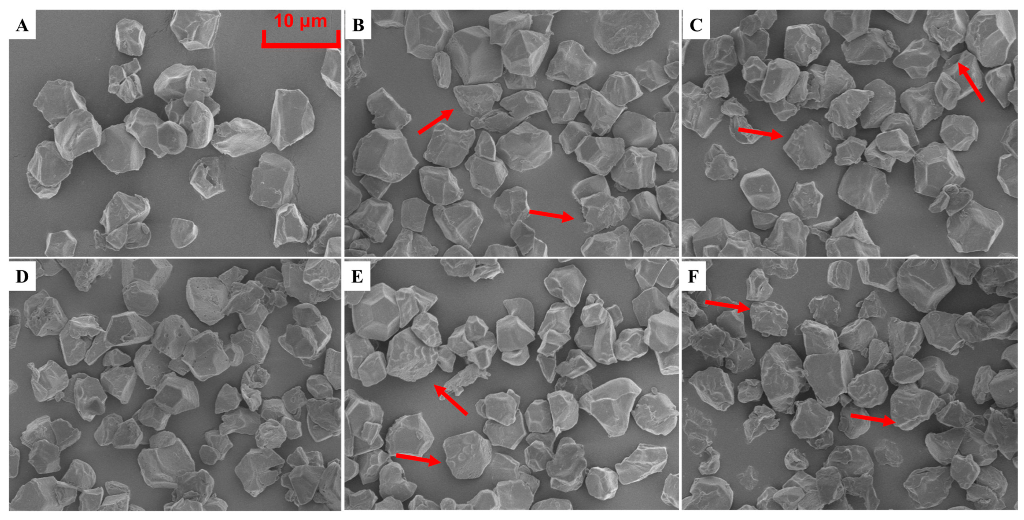 Foods 12 02601 g002a Foods 12 02601 g002a