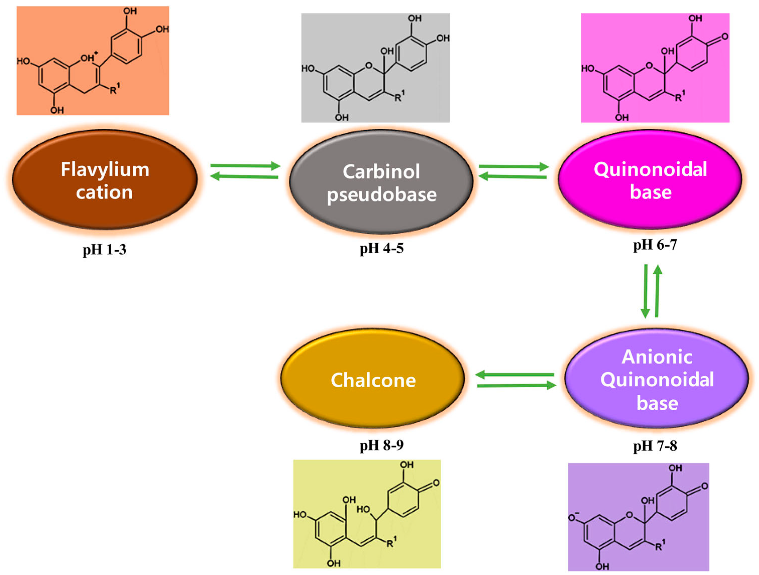 Foods 12 02602 g008 Foods 12 02602 g008