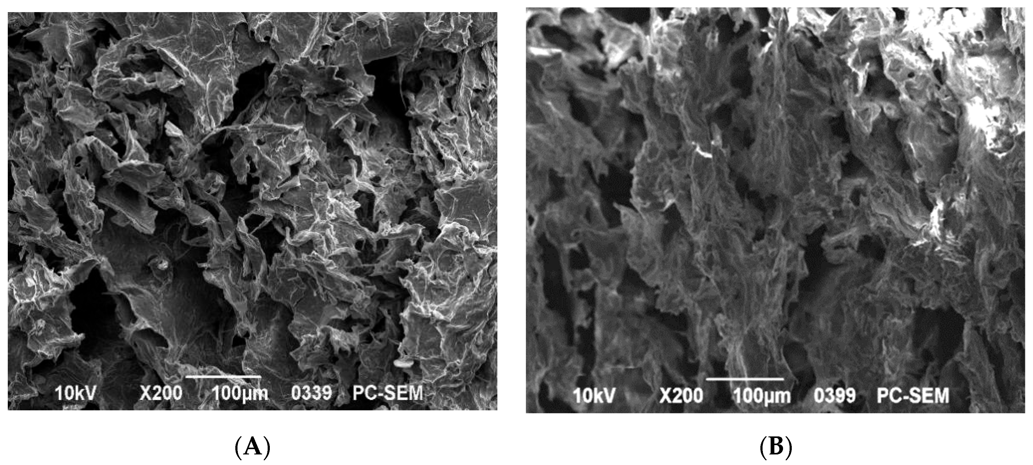 Foods 12 02602 g012 Foods 12 02602 g012