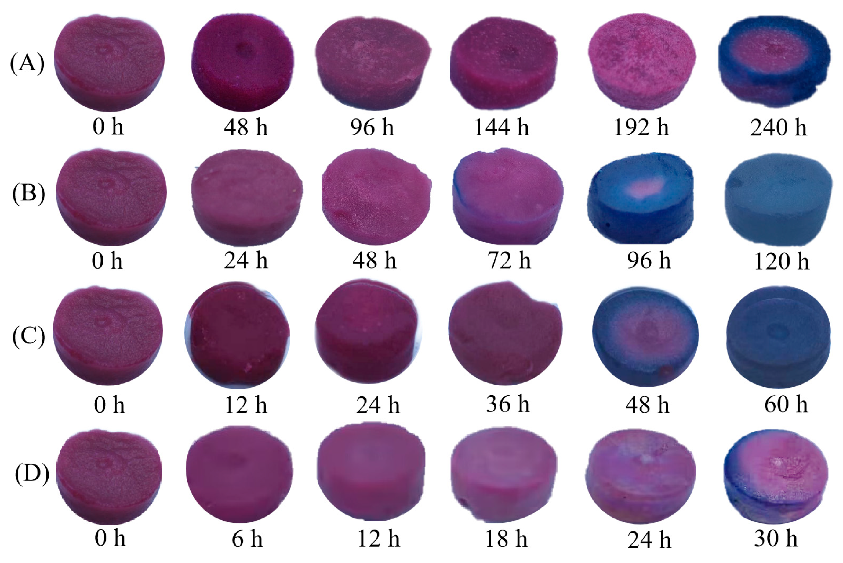 Foods 12 02602 g013 Foods 12 02602 g013