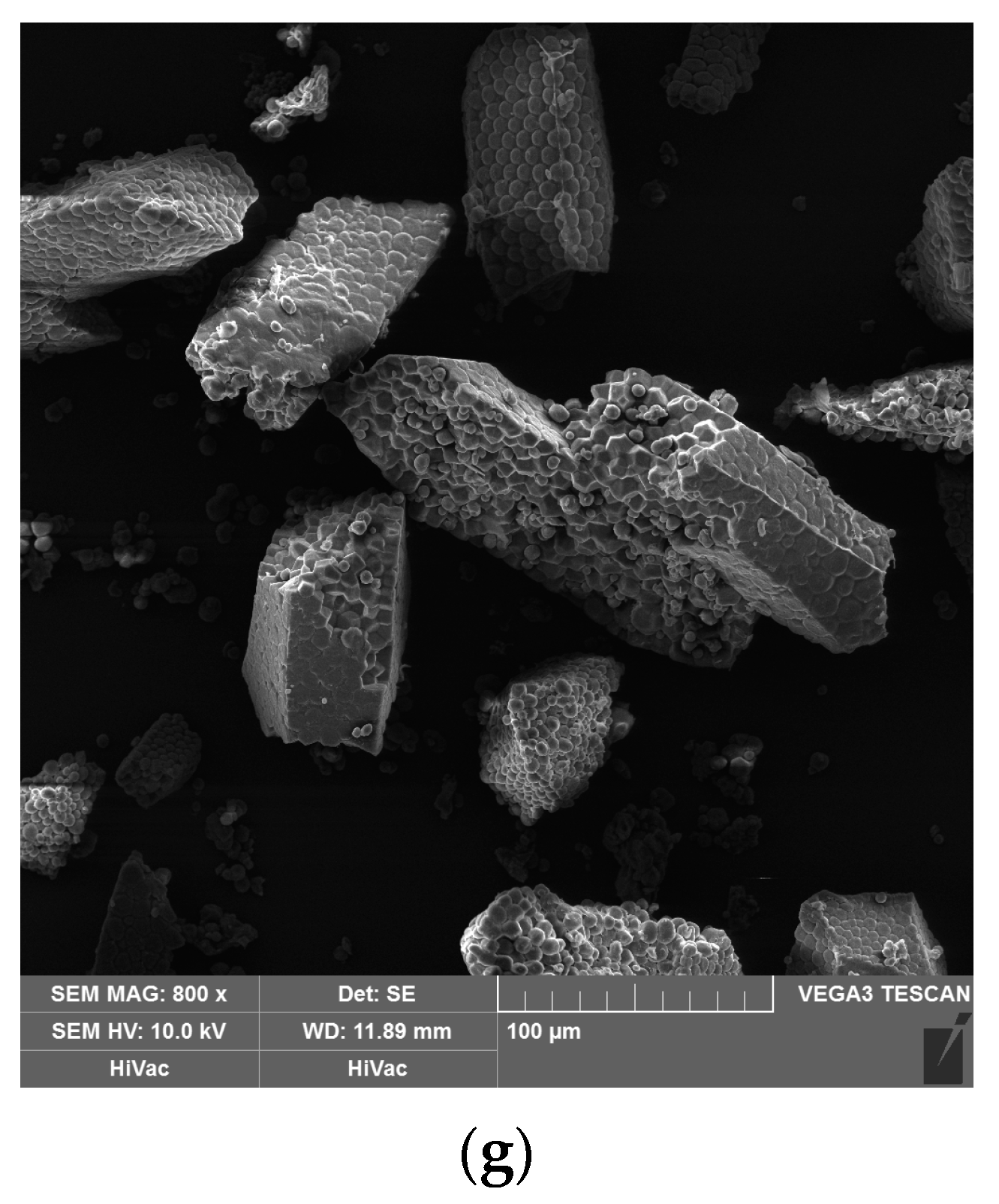 Foods 12 02604 g001b Foods 12 02604 g001b