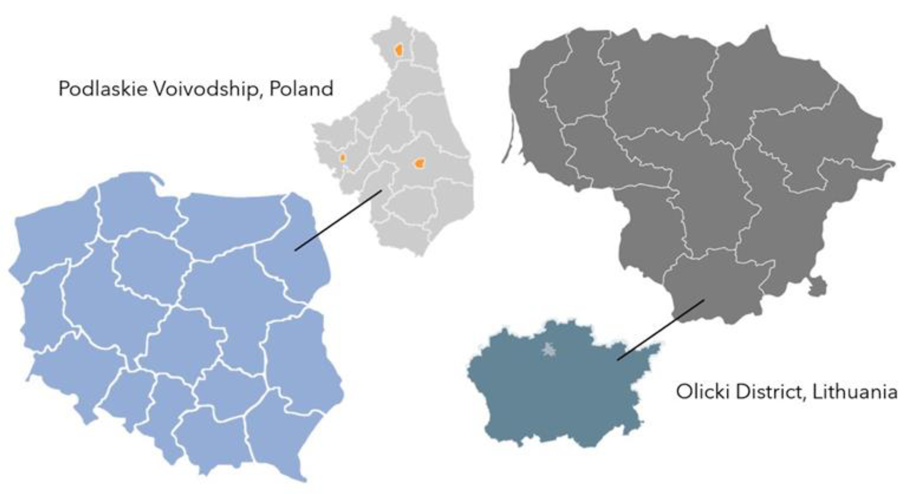 Foods 12 02606 g001 Foods 12 02606 g001