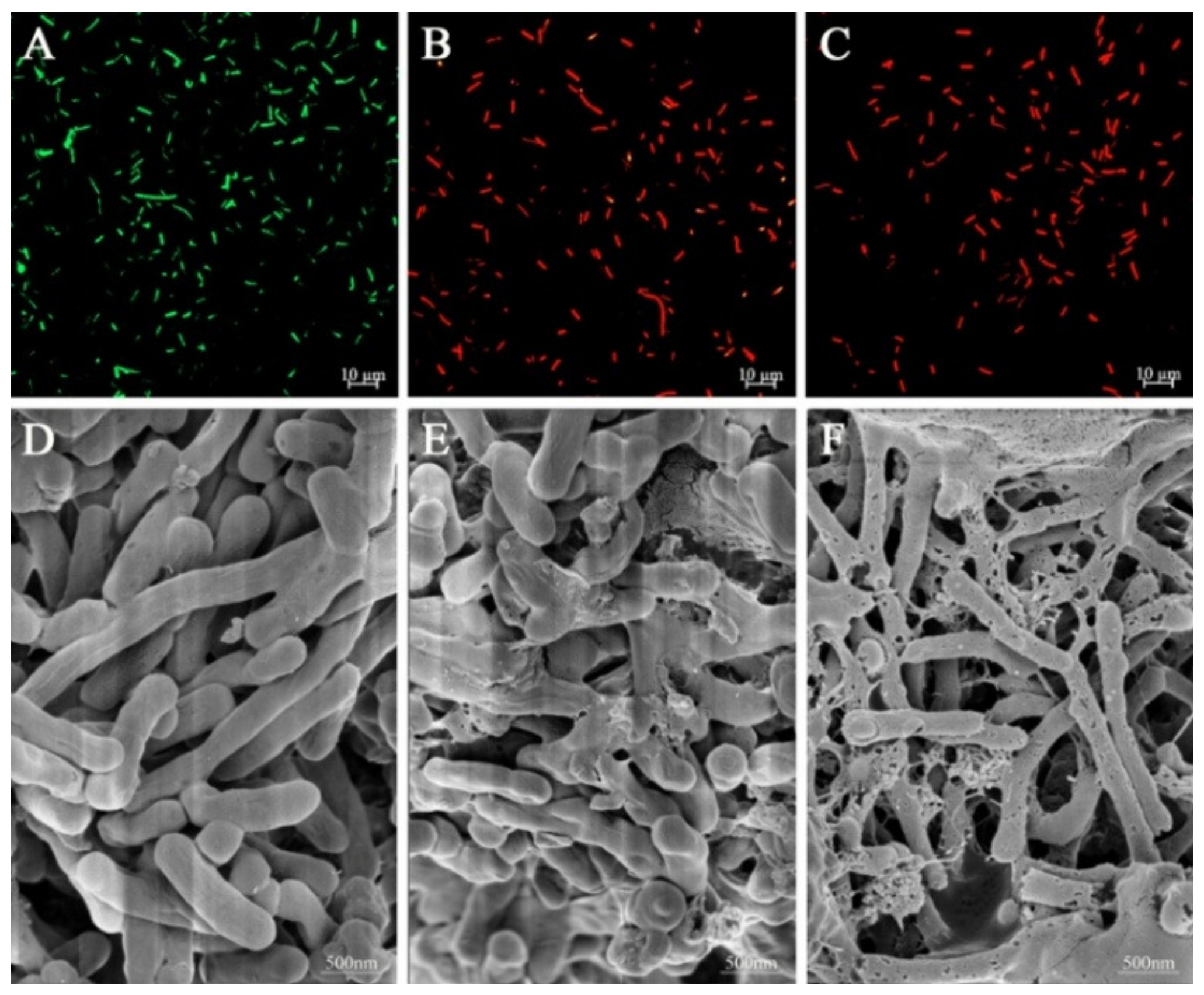 Foods 12 02625 g002 Foods 12 02625 g002
