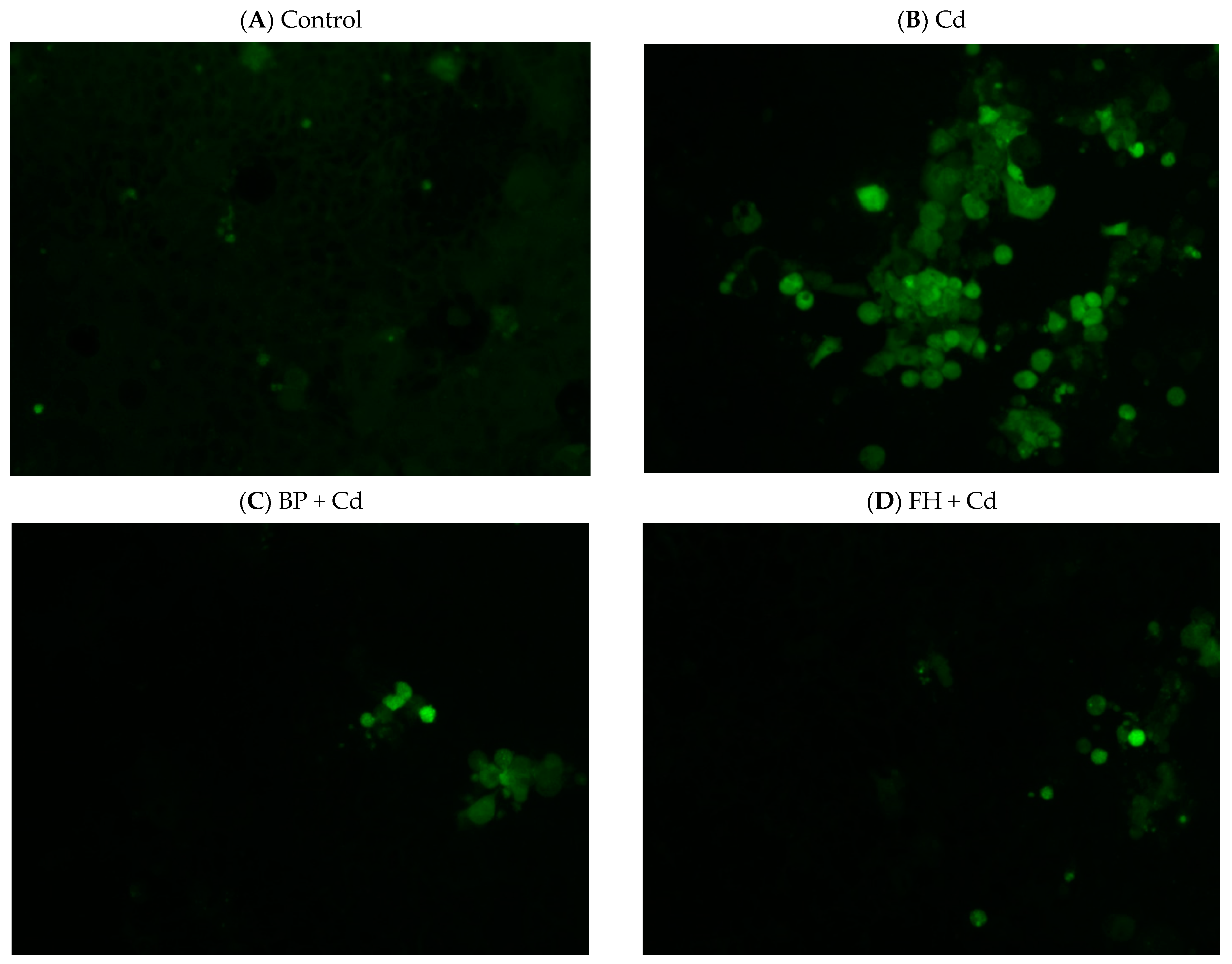 Foods 12 02632 g008a Foods 12 02632 g008a