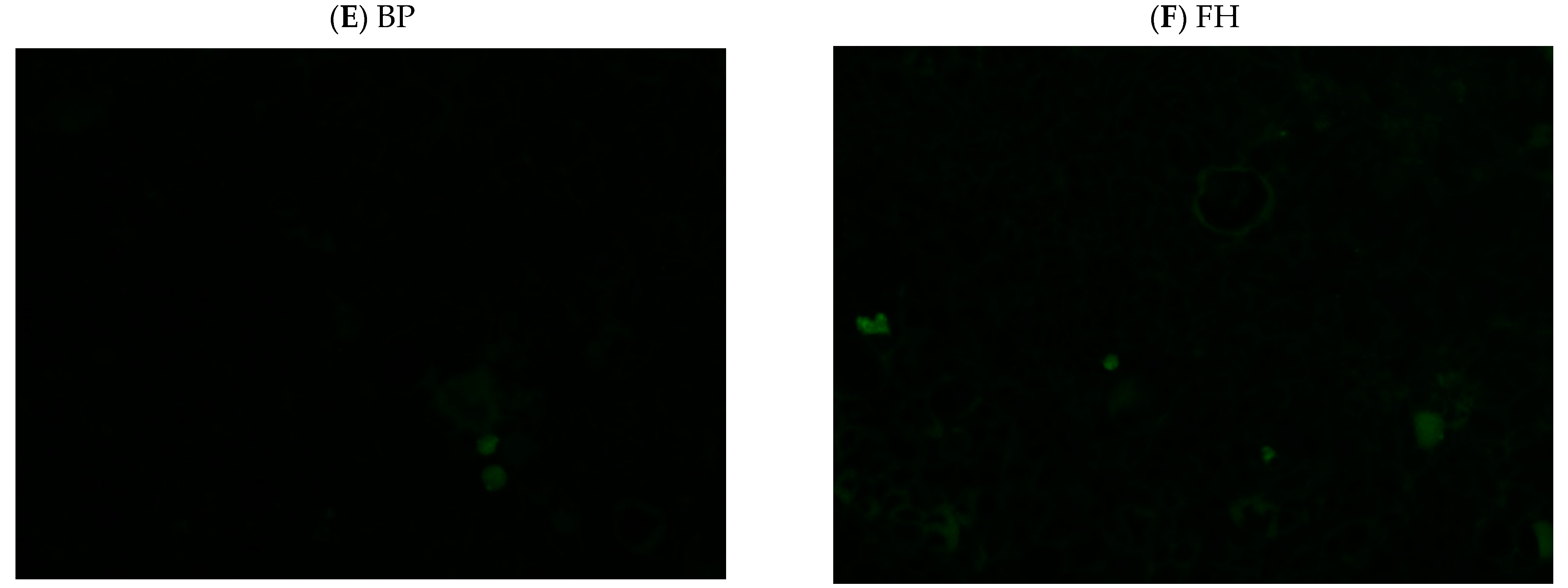 Foods 12 02632 g008b Foods 12 02632 g008b