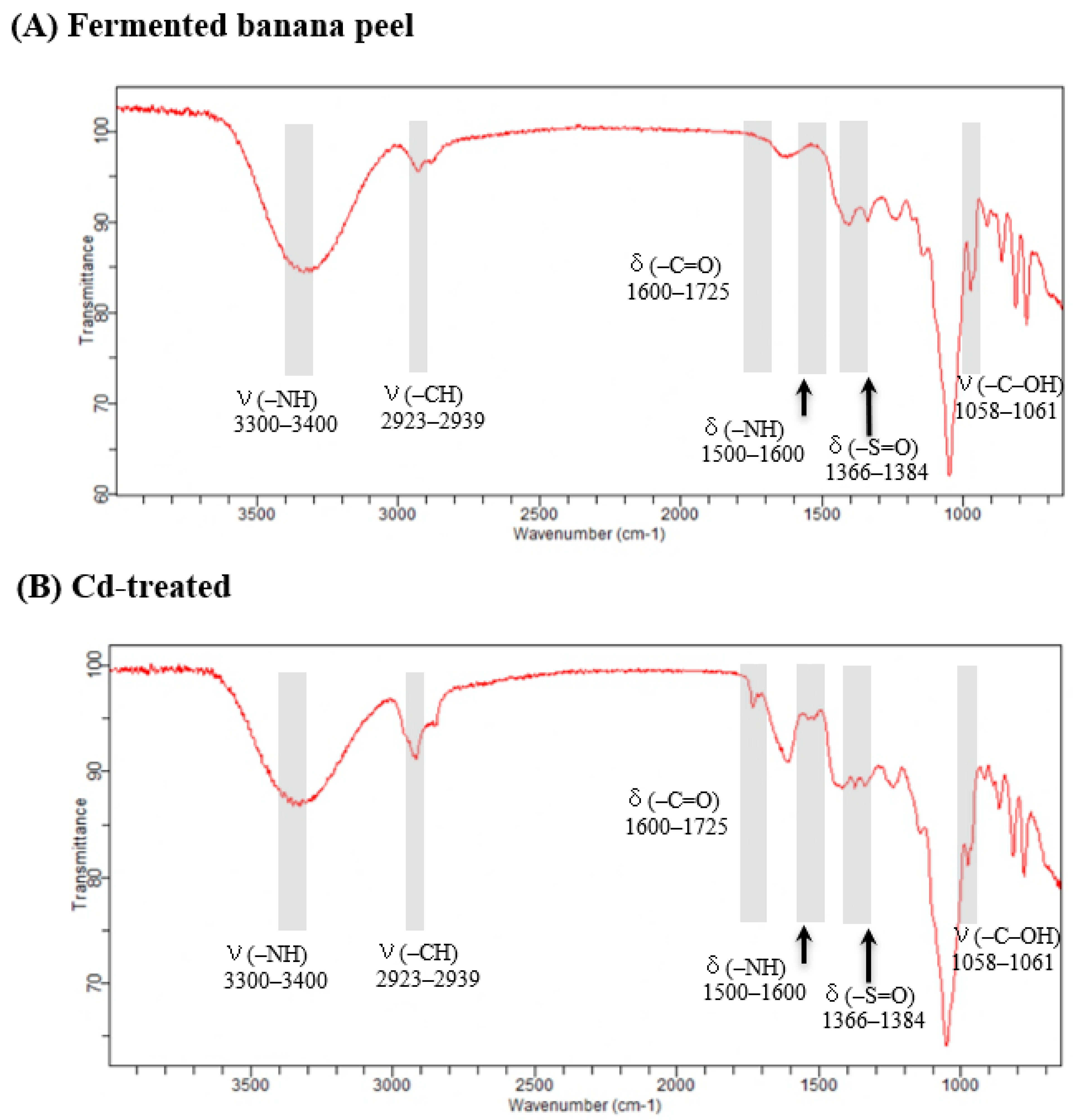 Foods 12 02632 g010 Foods 12 02632 g010