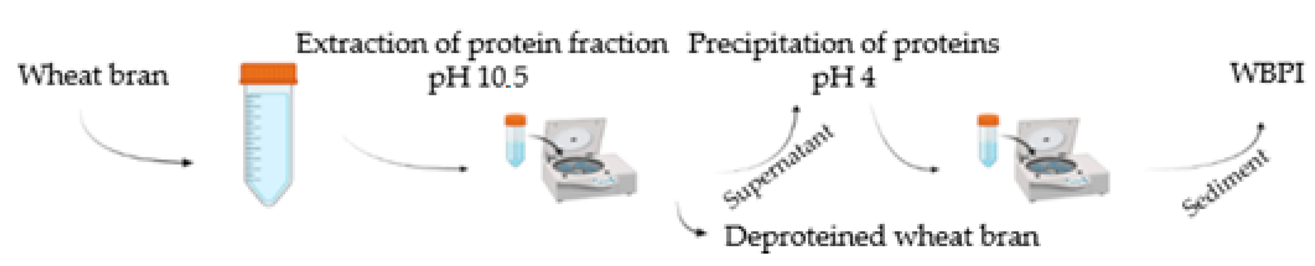 Foods 12 02635 g001 Foods 12 02635 g001