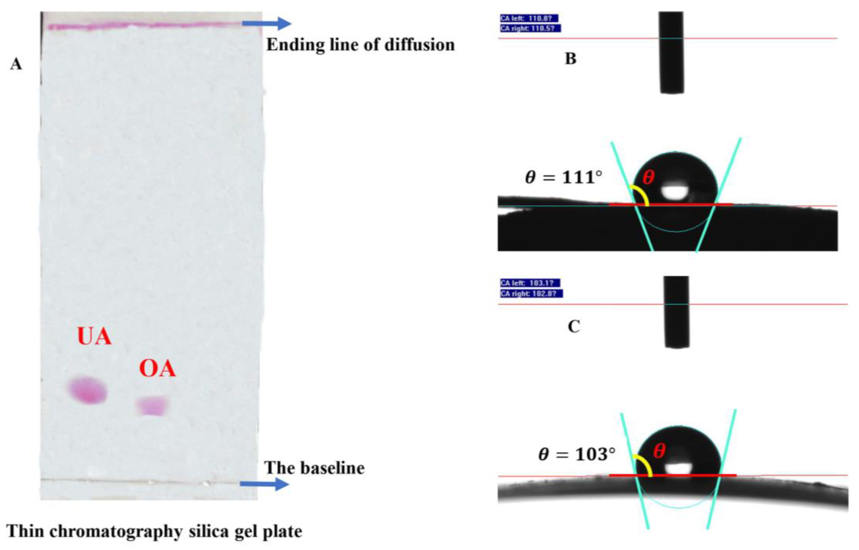 Foods 12 02643 g004 Foods 12 02643 g004