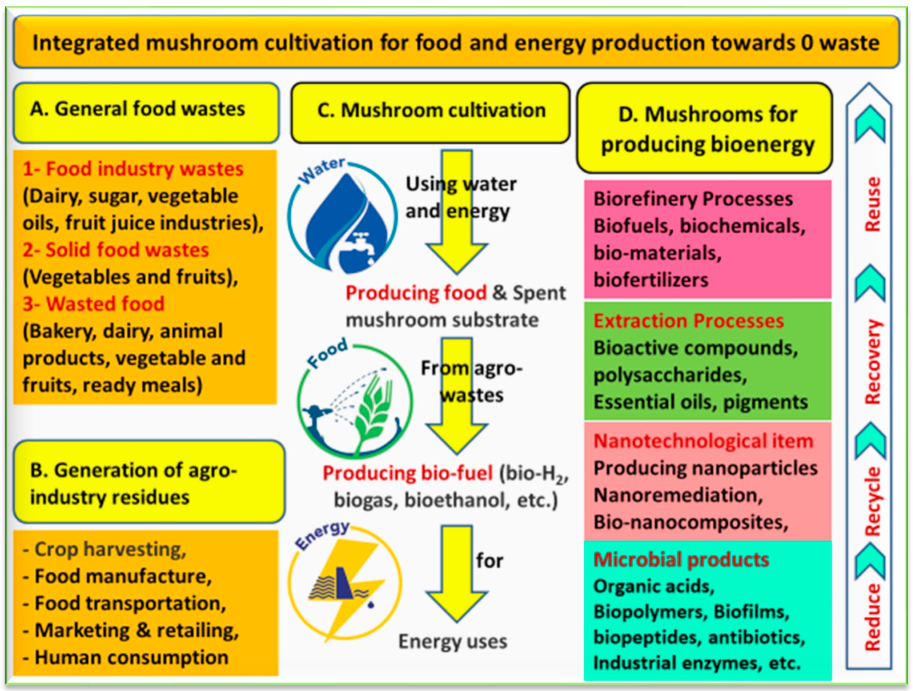 Foods 12 02671 g008 Foods 12 02671 g008