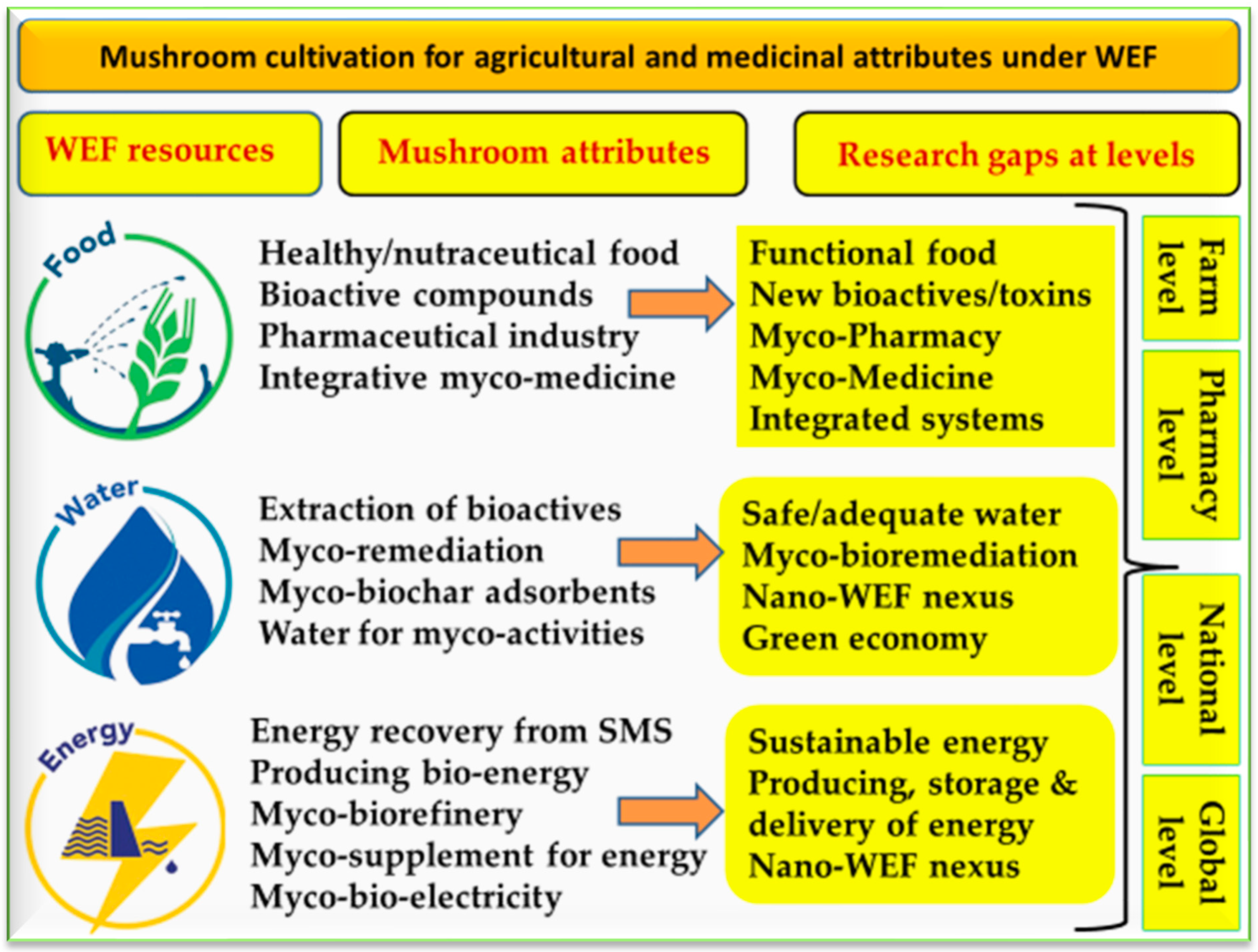 Foods 12 02671 g010 Foods 12 02671 g010