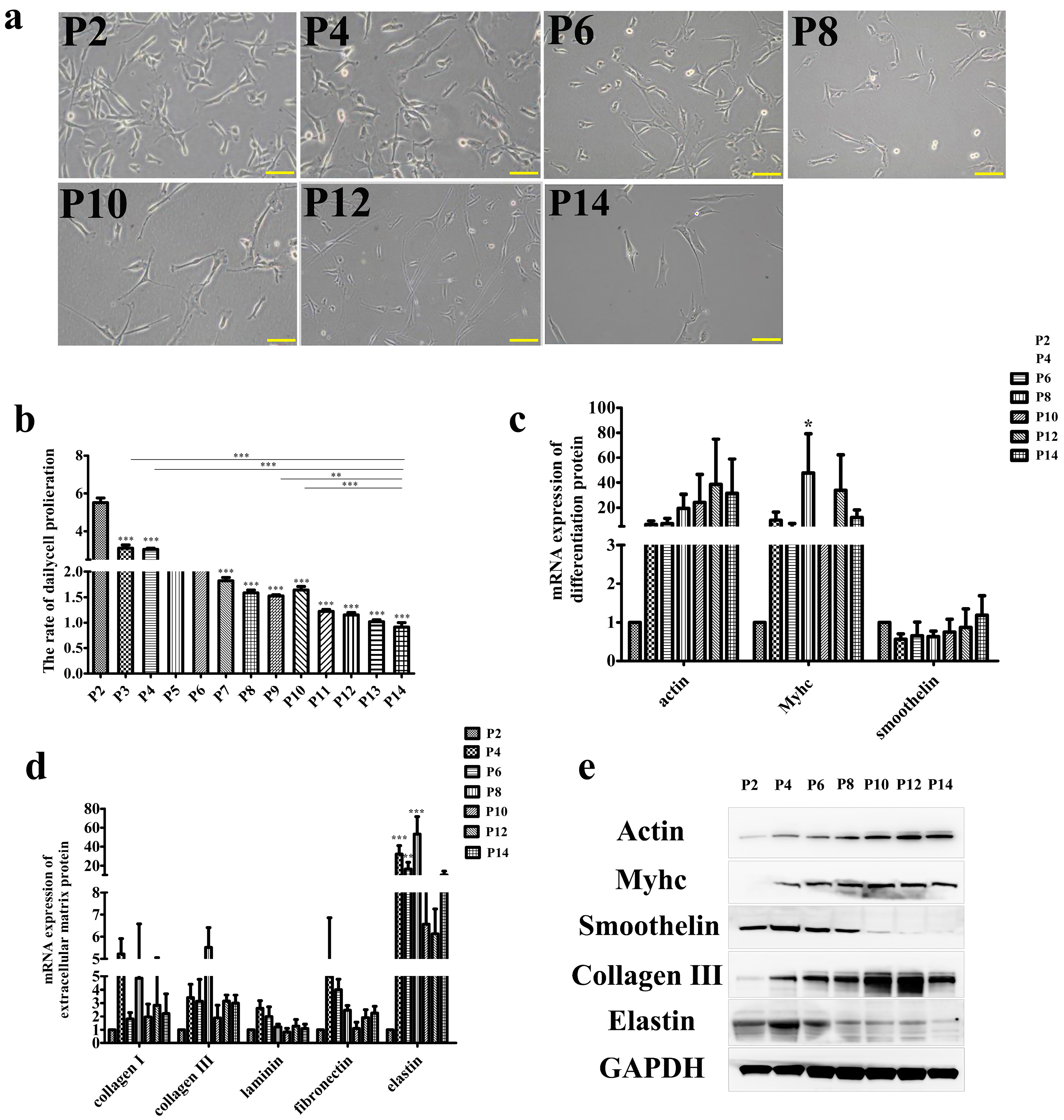 Foods 12 02682 g001 Foods 12 02682 g001