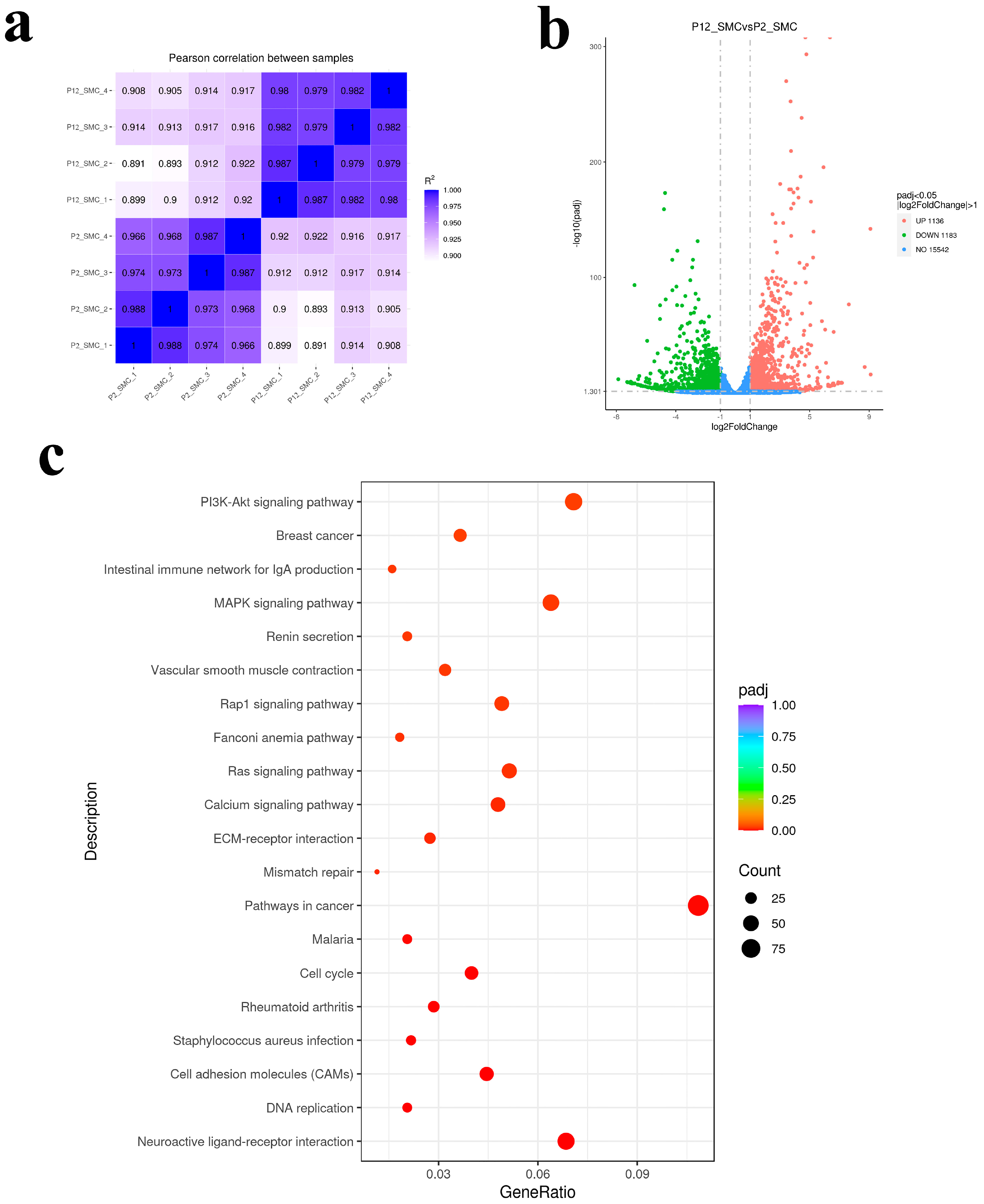 Foods 12 02682 g002 Foods 12 02682 g002