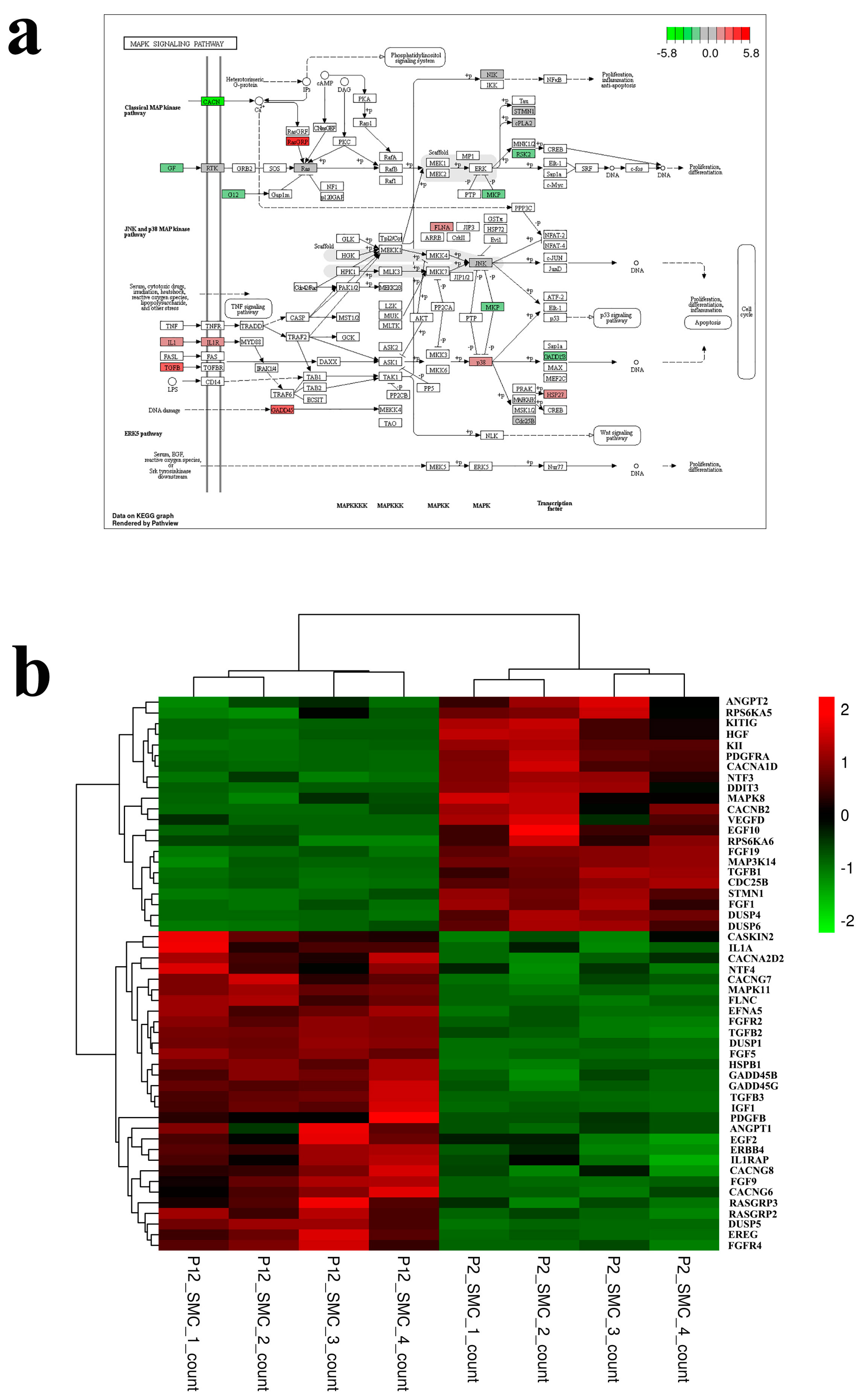 Foods 12 02682 g003 Foods 12 02682 g003