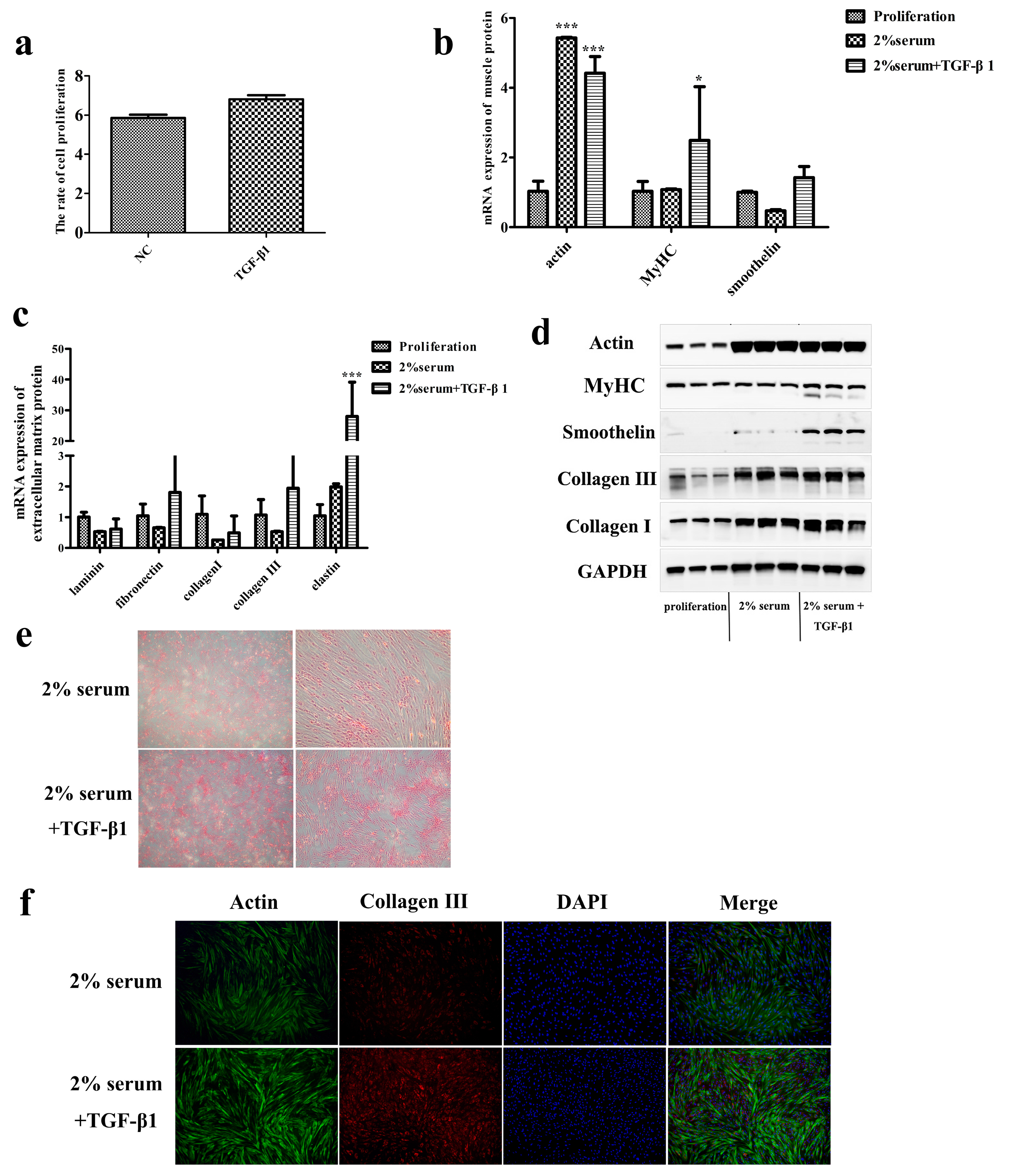 Foods 12 02682 g005 Foods 12 02682 g005