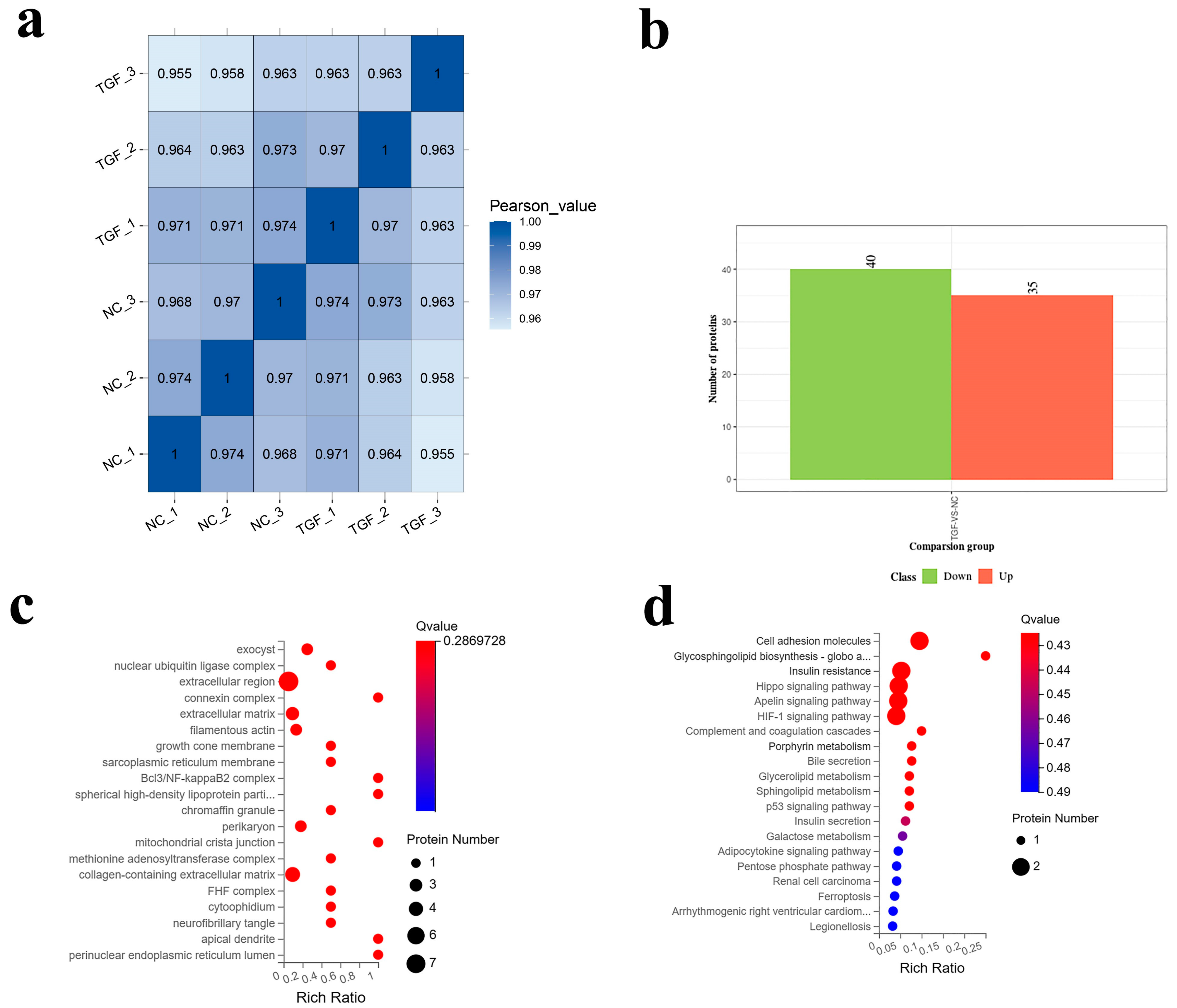 Foods 12 02682 g006 Foods 12 02682 g006