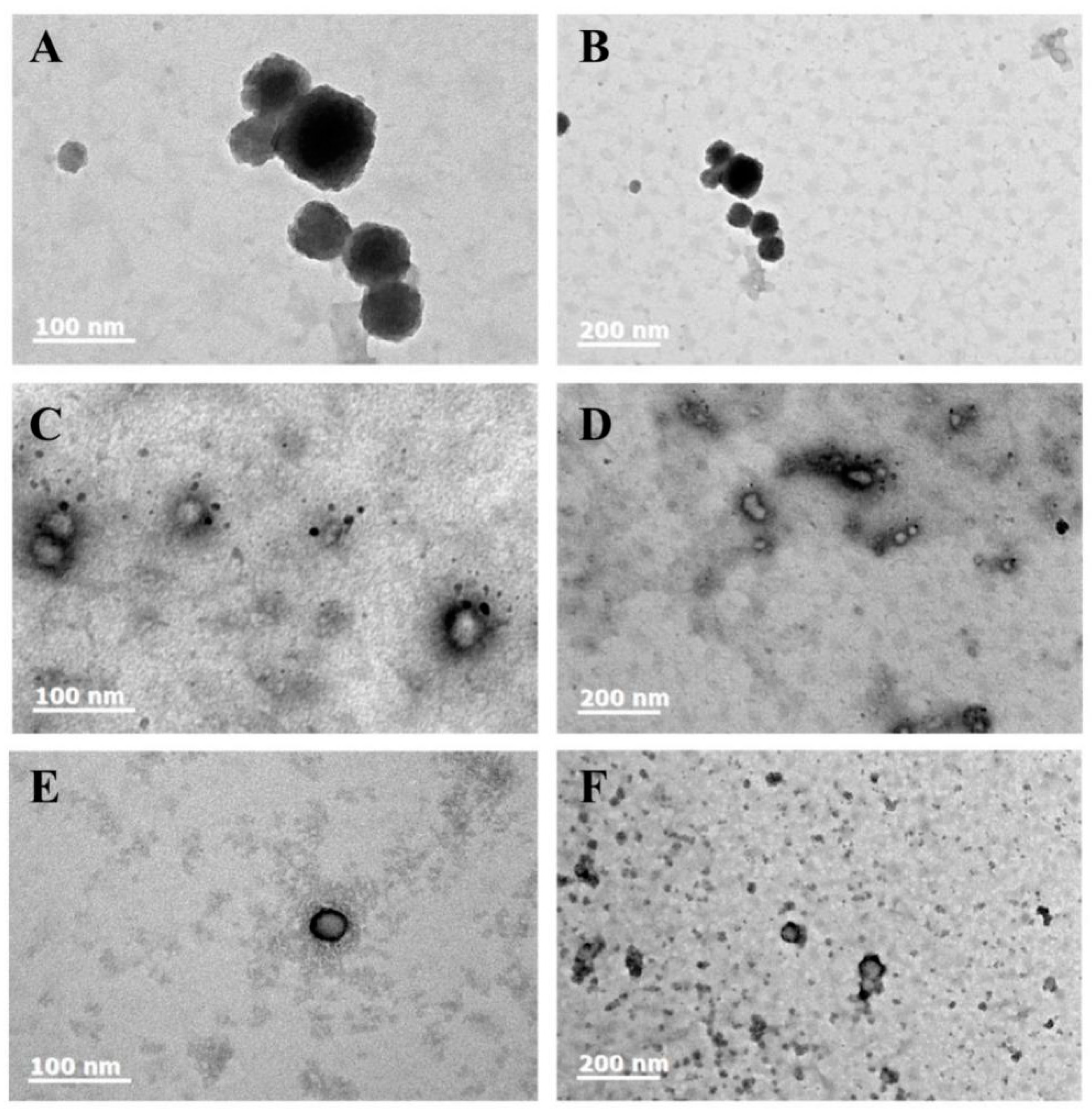 Foods 12 02692 g003 Foods 12 02692 g003