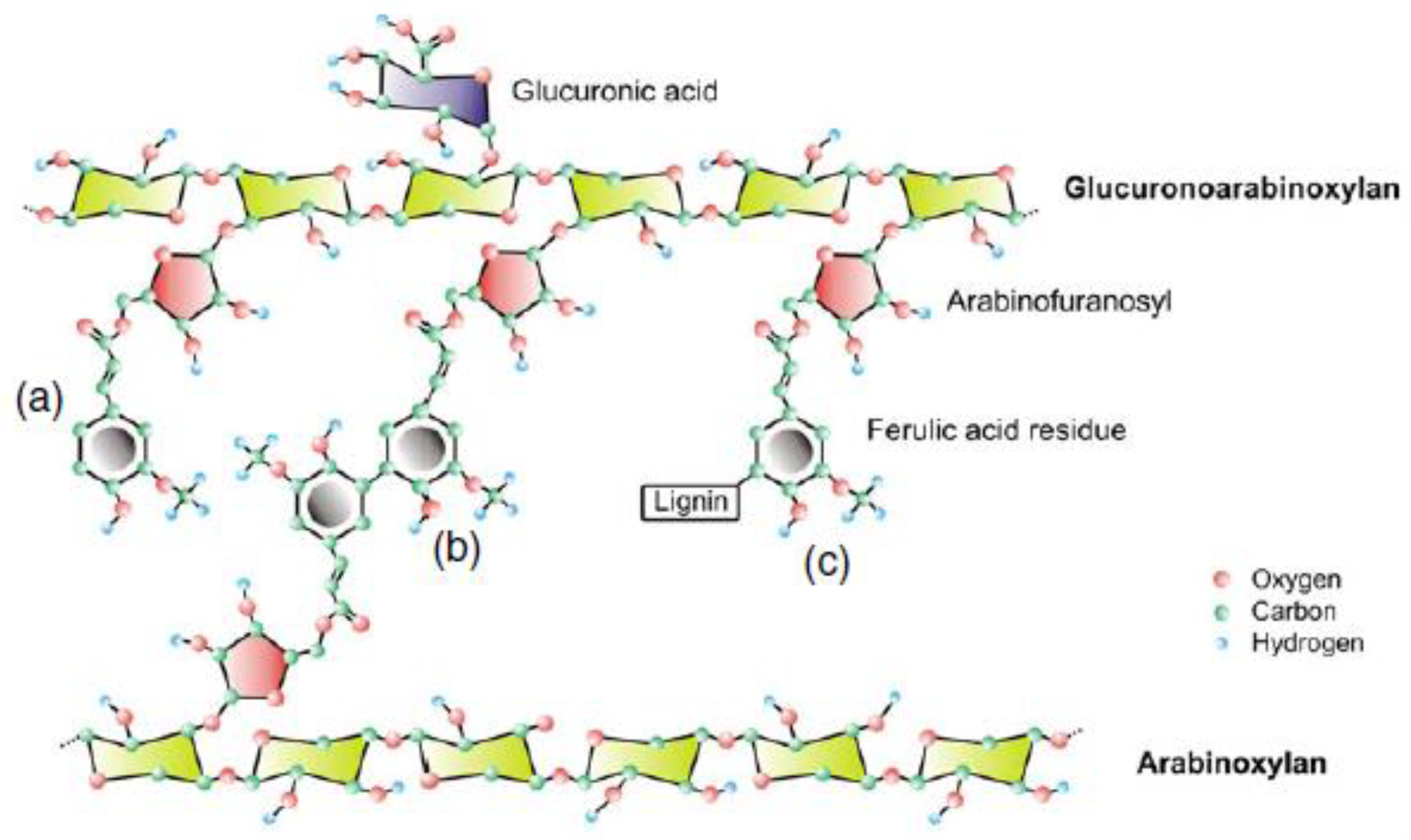Foods 12 02693 g002 Foods 12 02693 g002