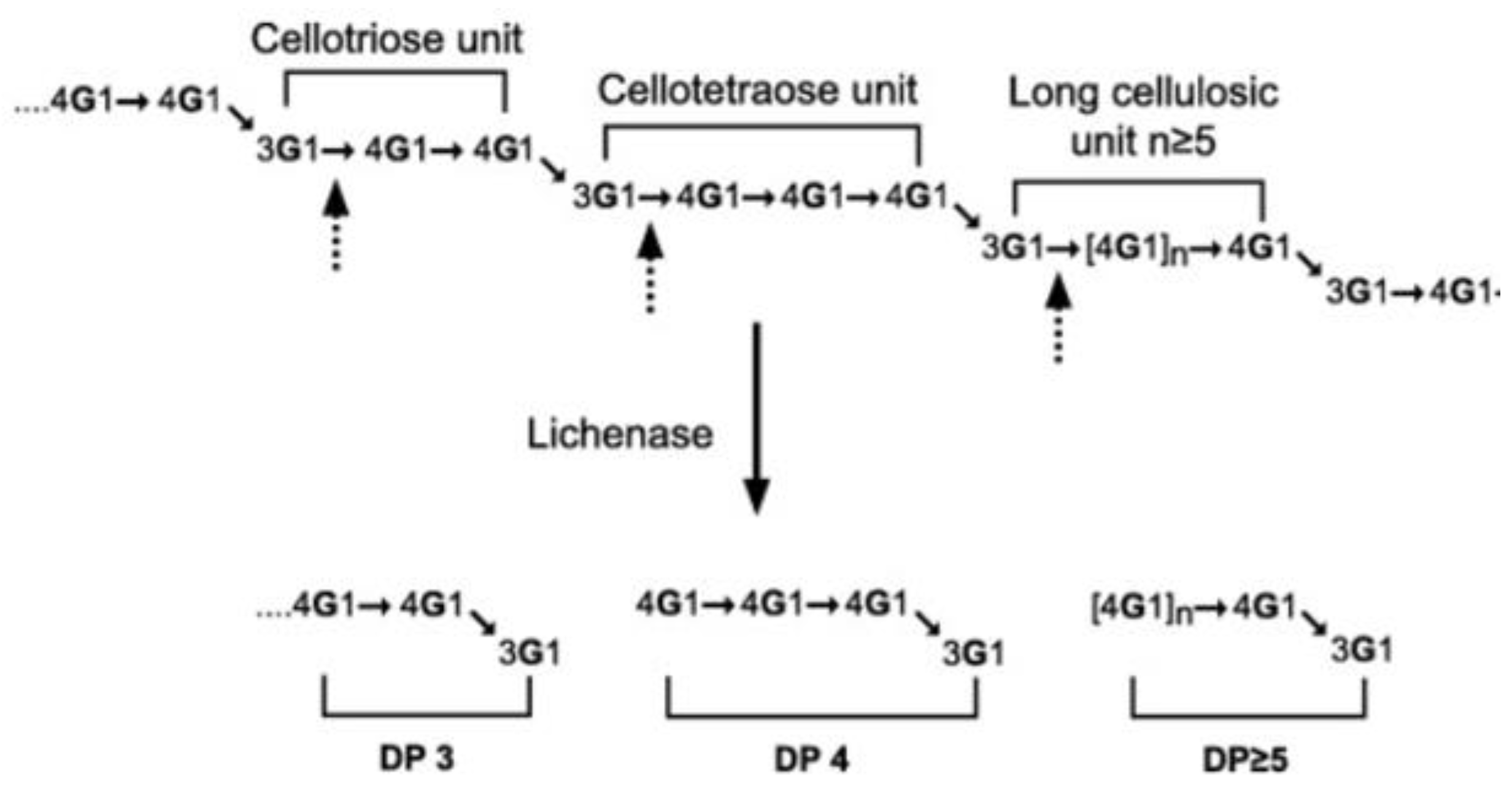 Foods 12 02693 g003 Foods 12 02693 g003