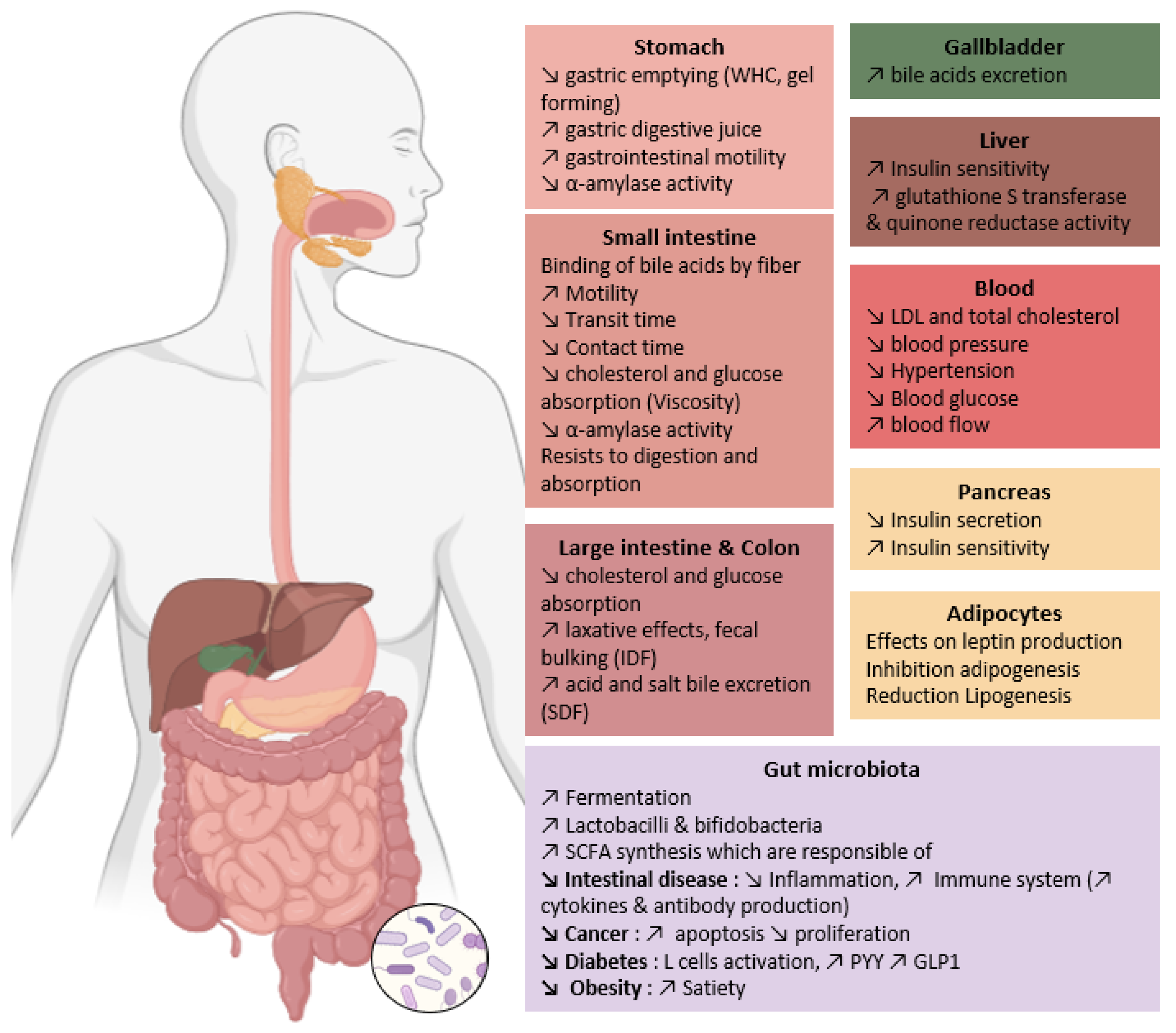 Foods 12 02693 g004 Foods 12 02693 g004