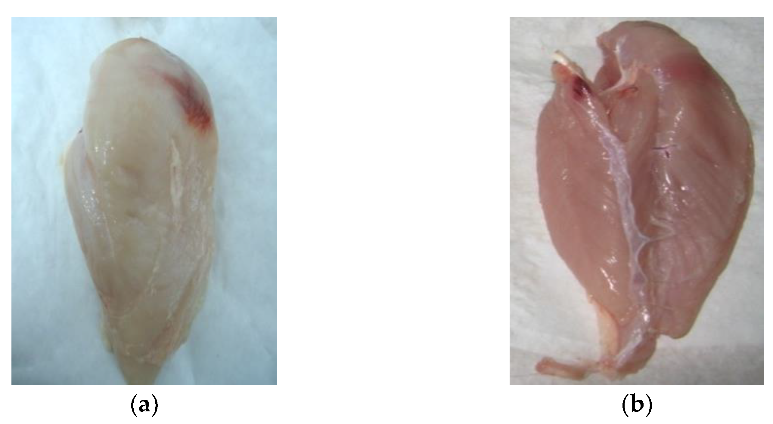 Foods 12 02694 g002 Foods 12 02694 g002