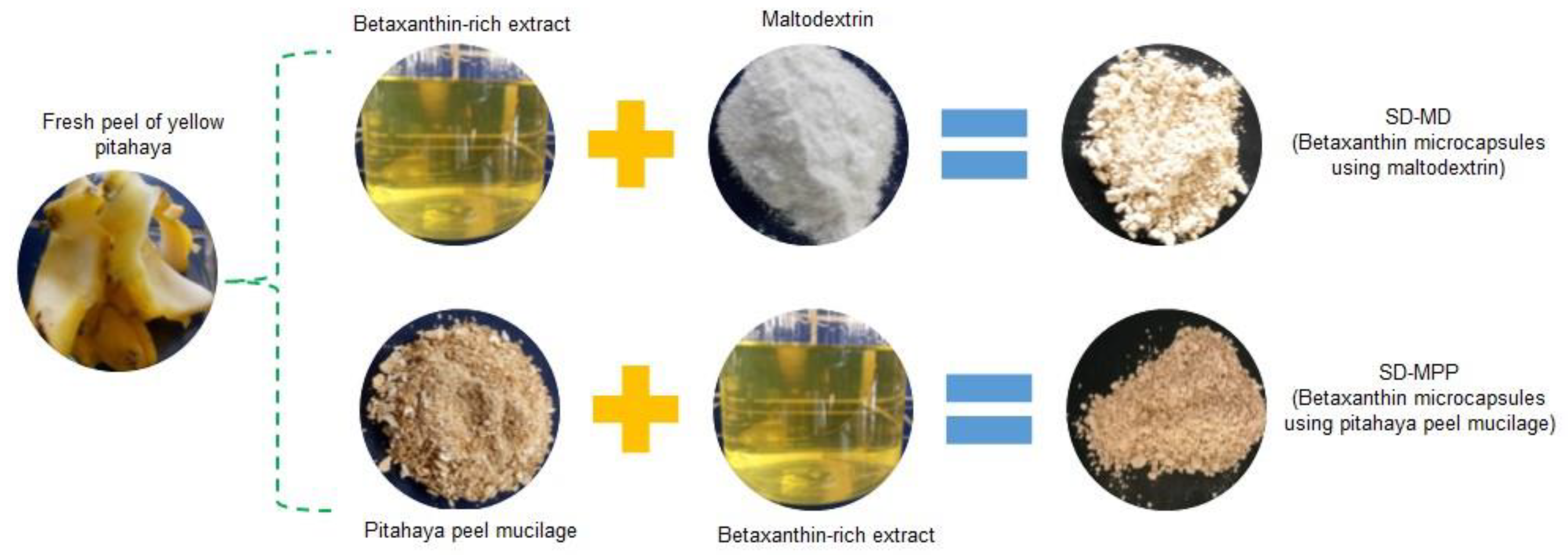 Foods 12 02700 g001 Foods 12 02700 g001