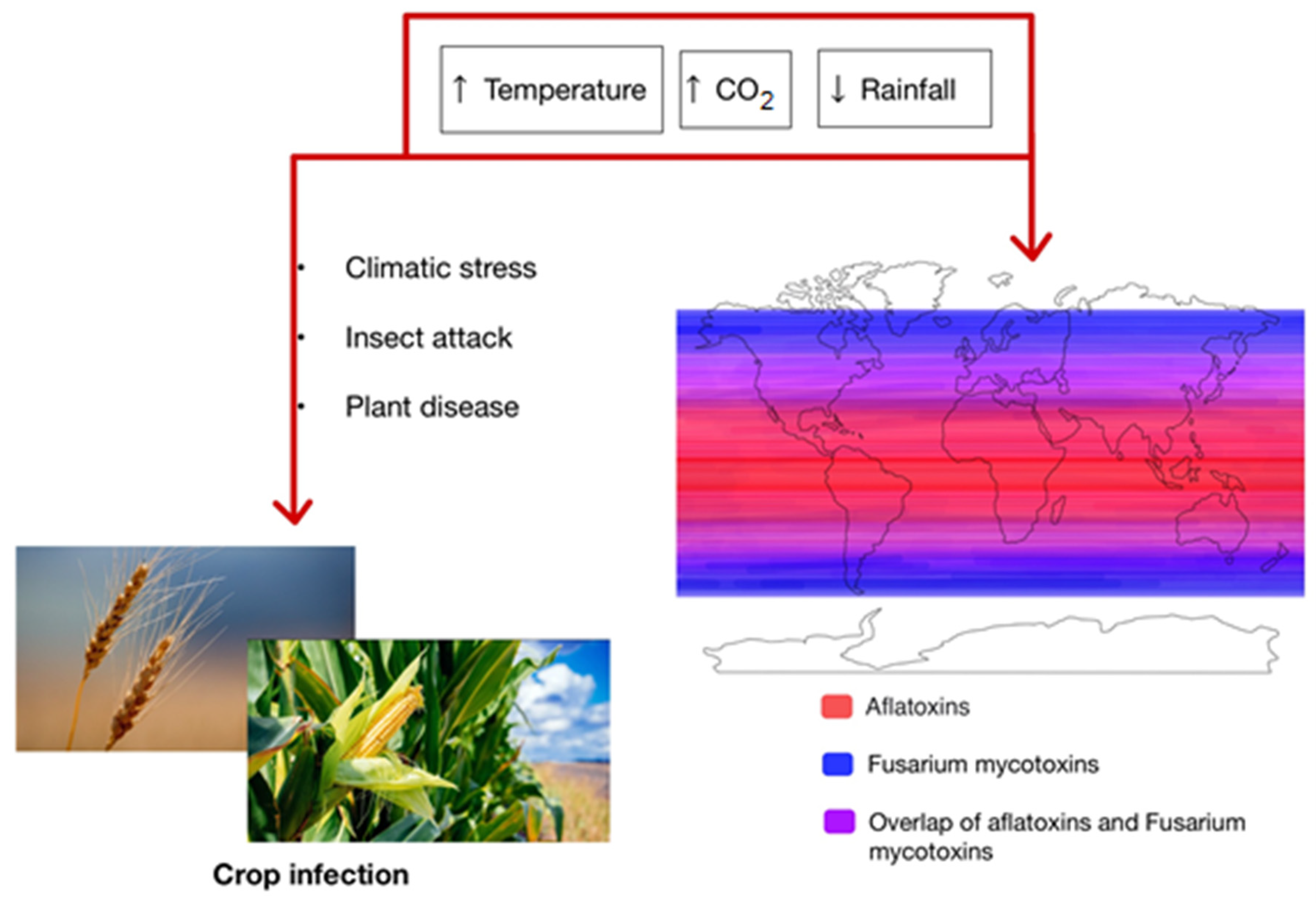 Foods 12 02704 g001 Foods 12 02704 g001