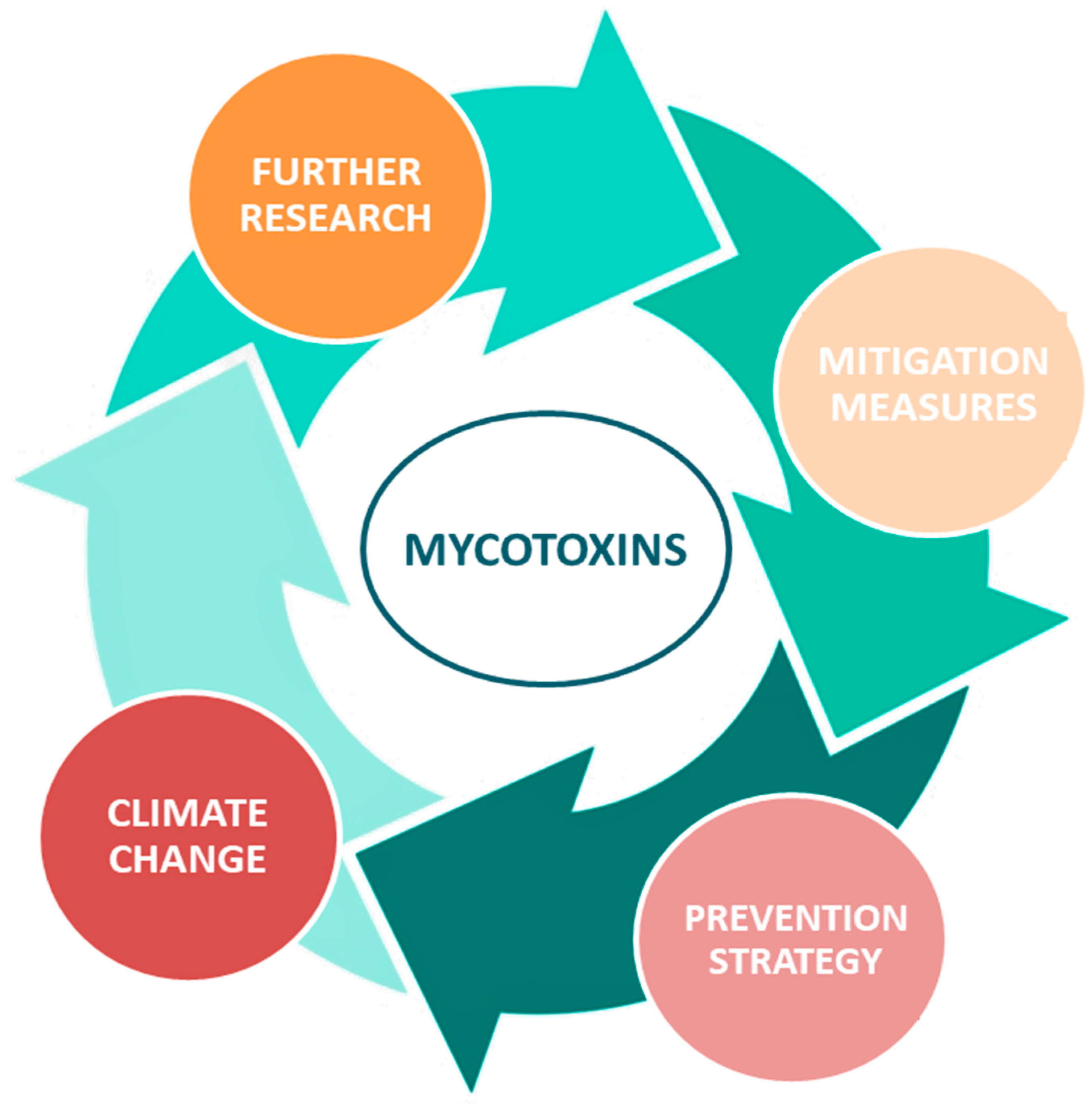 Foods 12 02704 g002 Foods 12 02704 g002