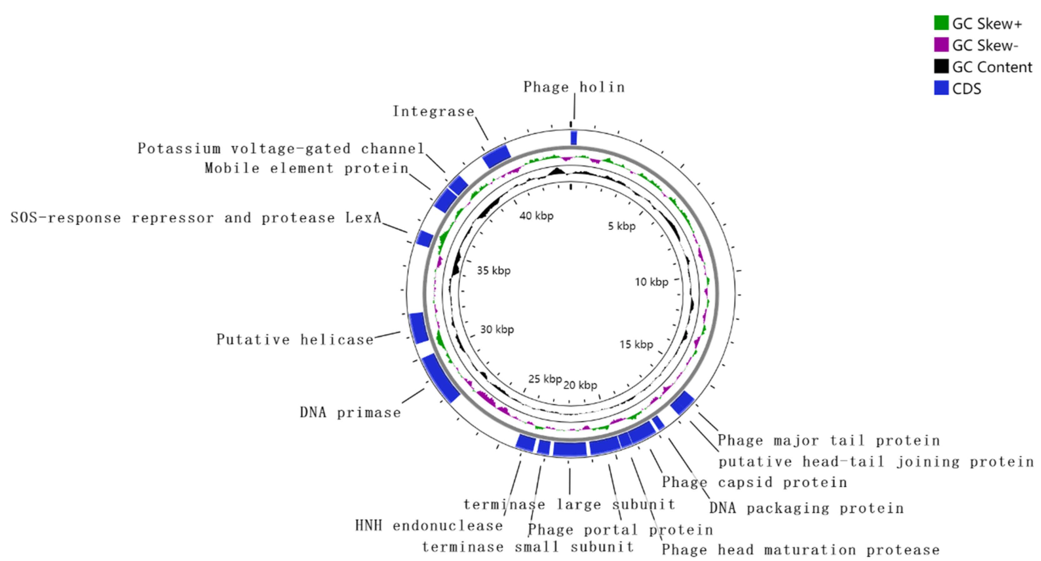 Foods 12 02716 g004 Foods 12 02716 g004