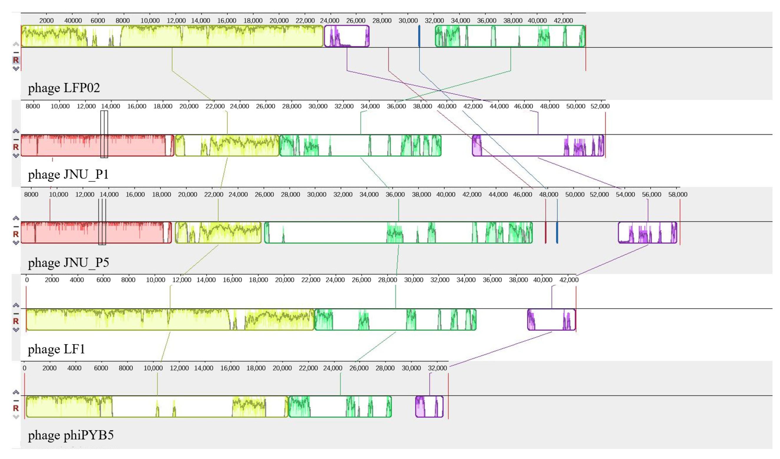 Foods 12 02716 g005 Foods 12 02716 g005