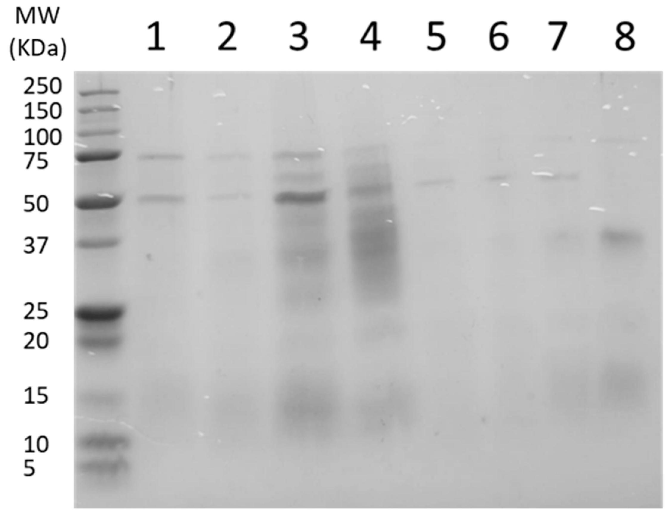 Foods 12 02717 g002 Foods 12 02717 g002