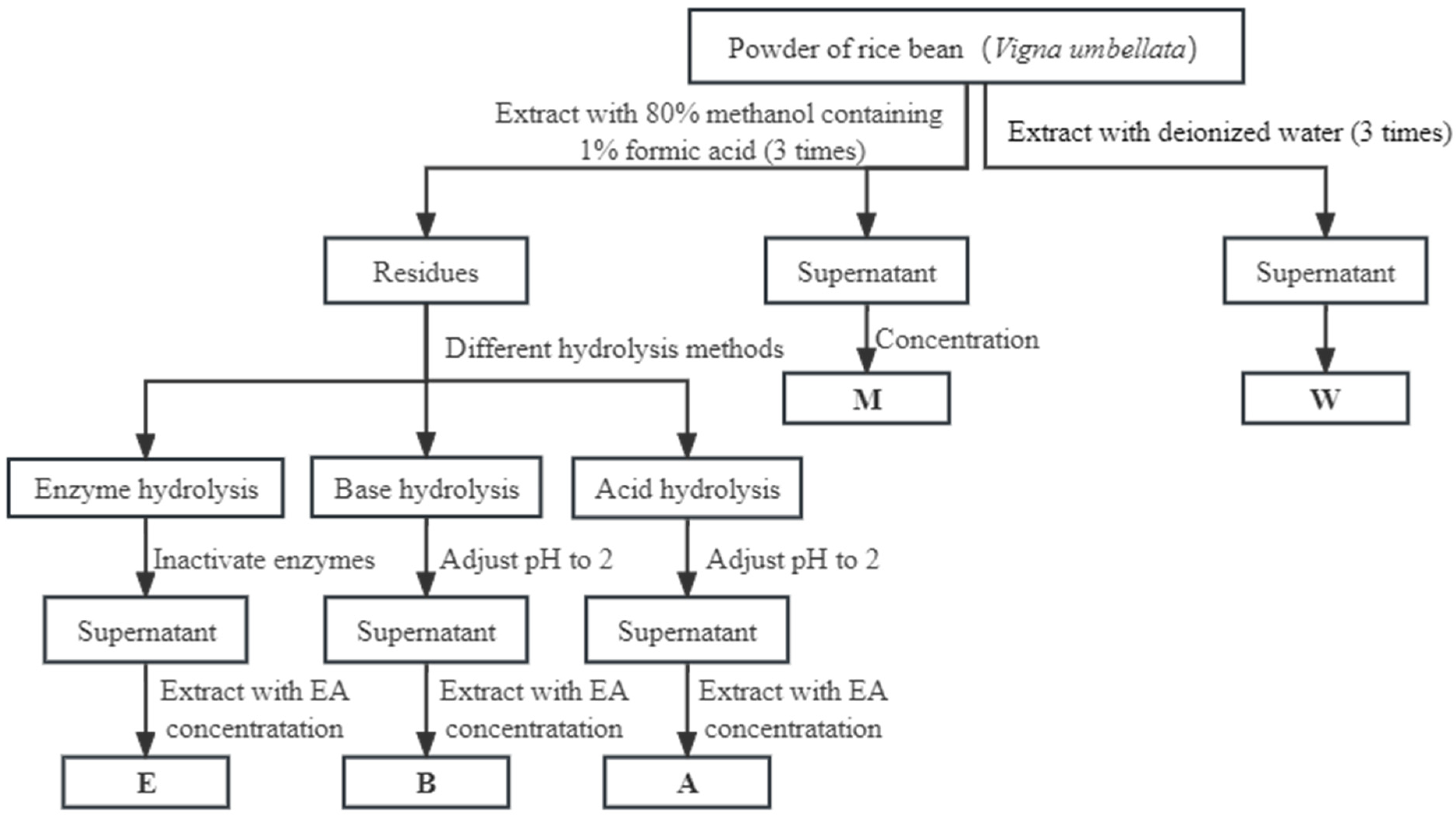 Foods 12 02718 g001 Foods 12 02718 g001