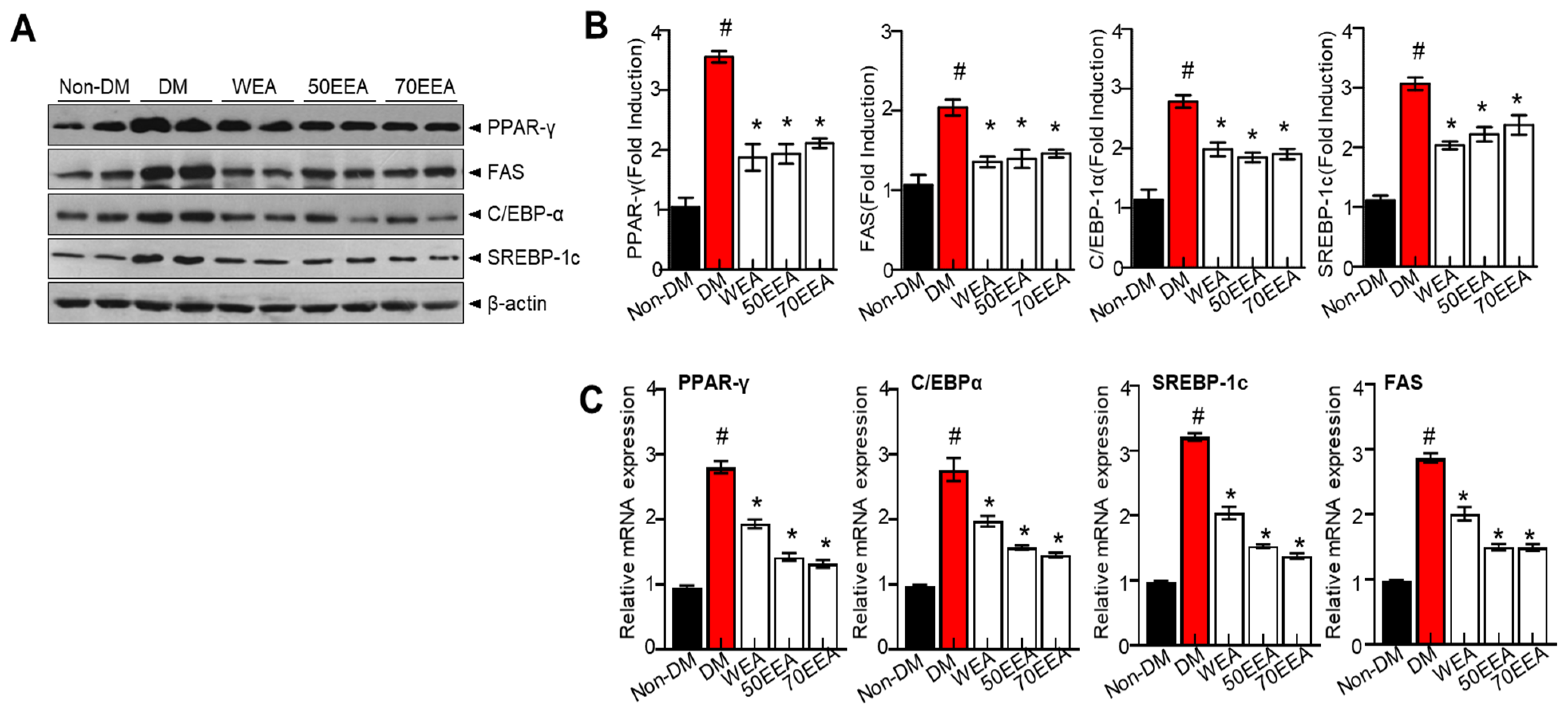 Foods 12 02727 g002 Foods 12 02727 g002