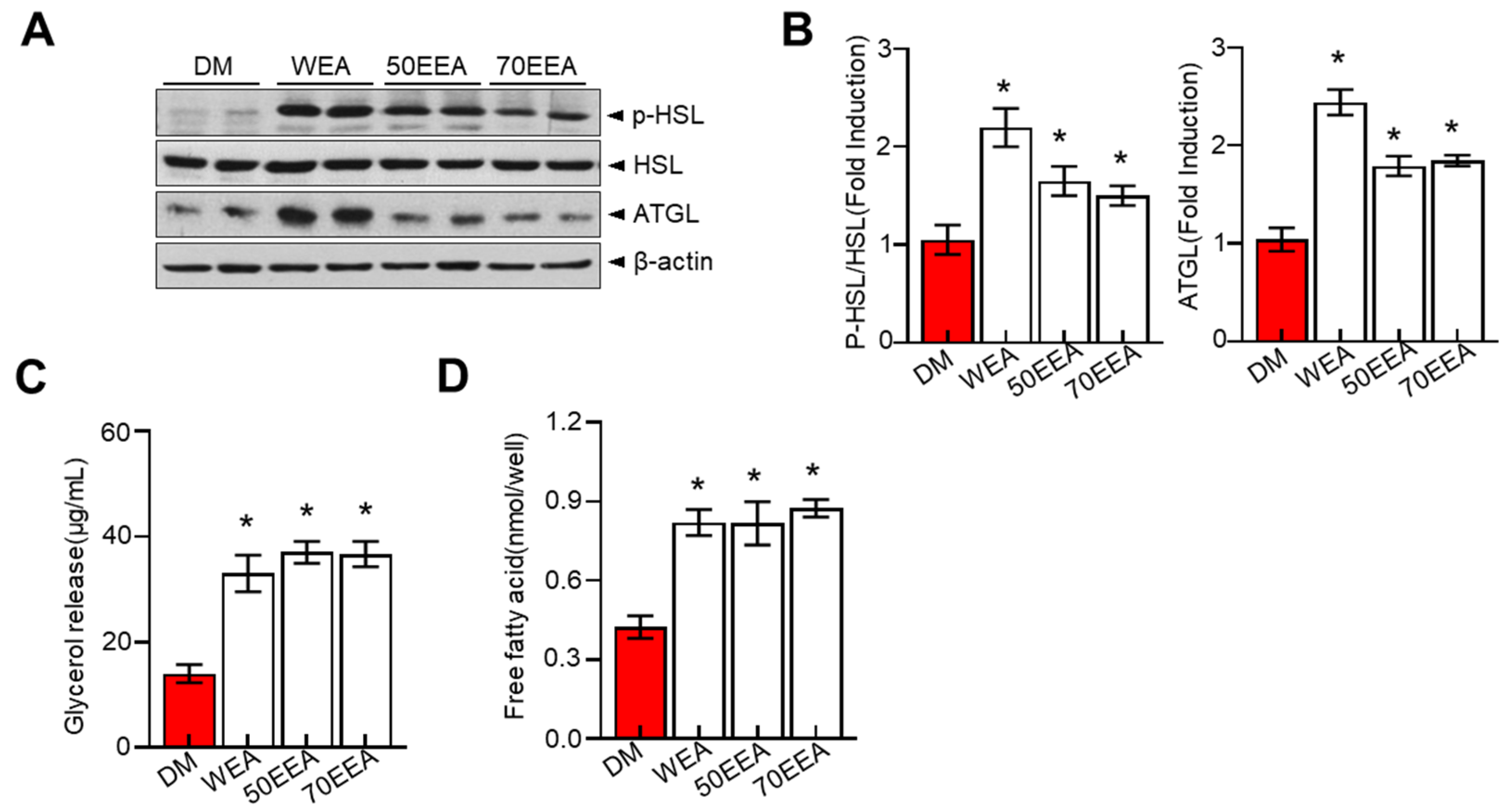 Foods 12 02727 g003 Foods 12 02727 g003