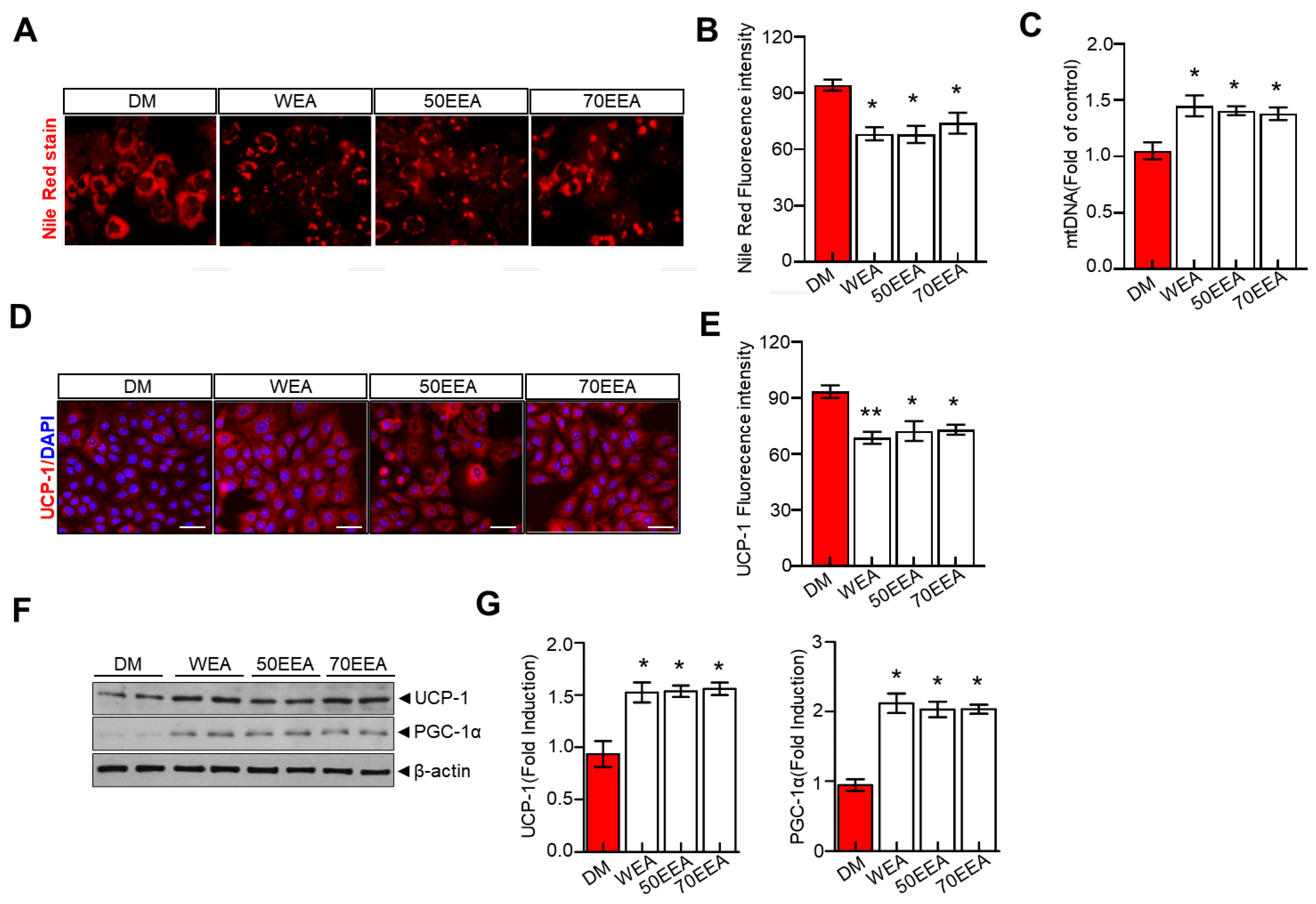 Foods 12 02727 g004 Foods 12 02727 g004