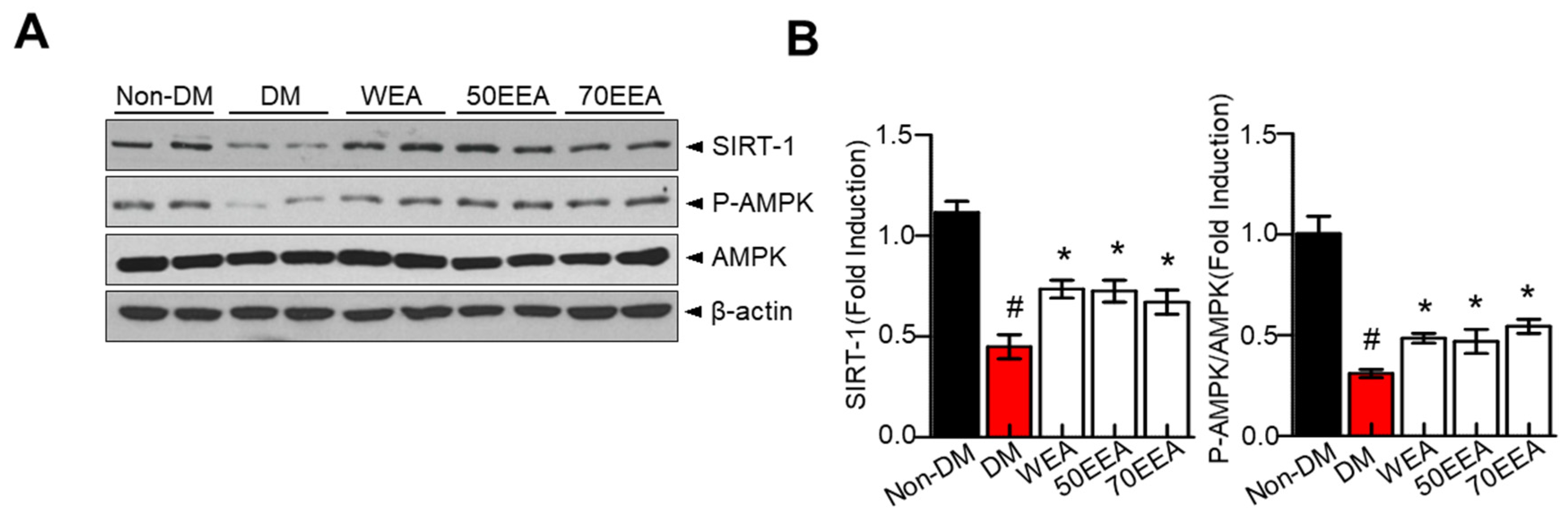 Foods 12 02727 g005 Foods 12 02727 g005